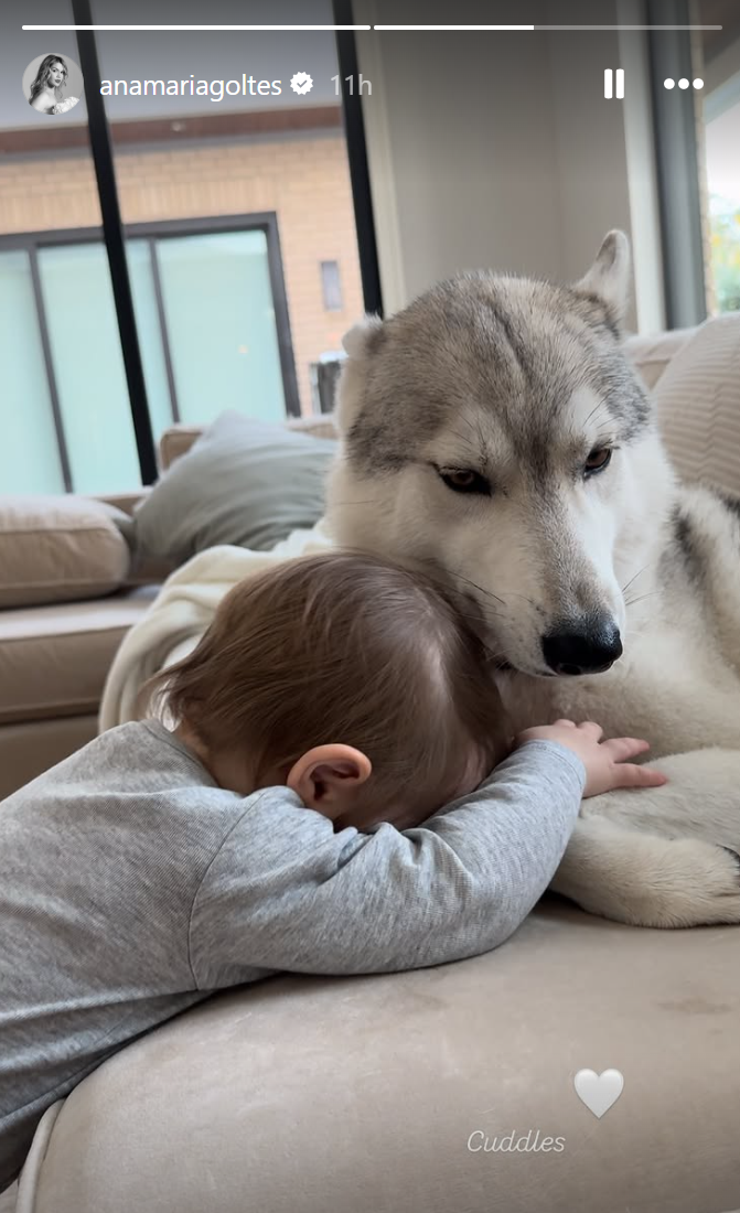 Posnetek zaslona 2024-11-29 084444