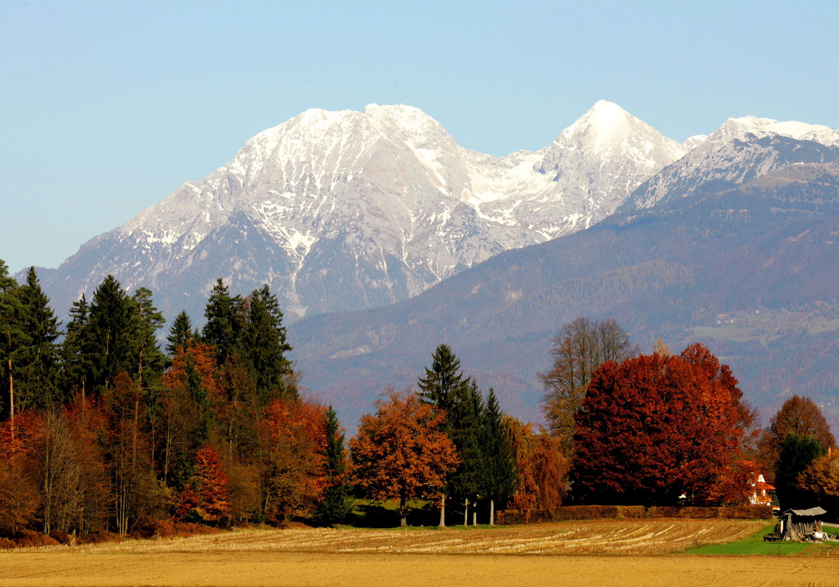 sonce, jesen, listje, drevesa