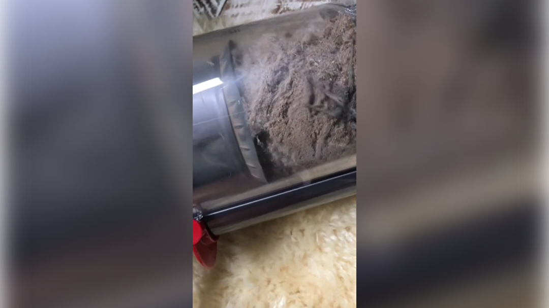 high-res-image - 2024-12-02T142625.814