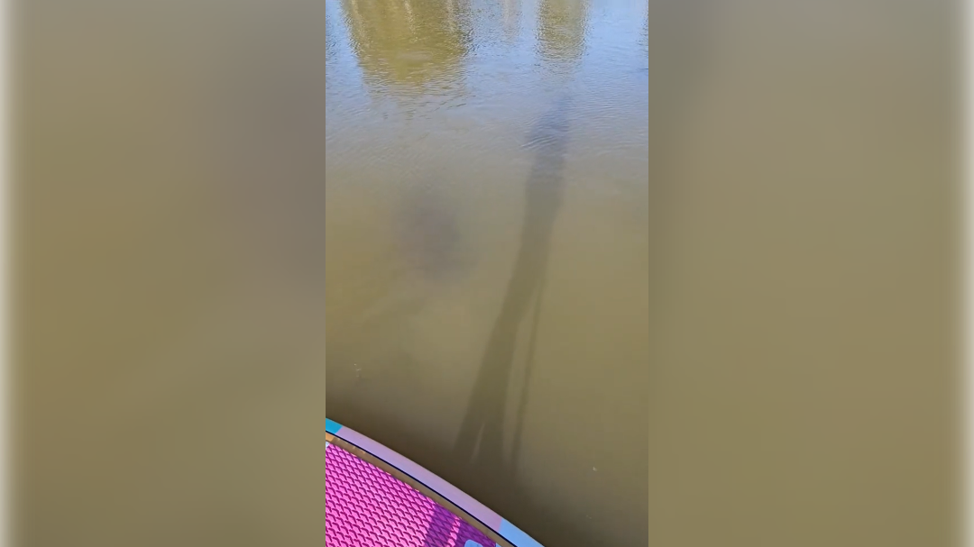 high-res-image - 2024-12-03T095446.686