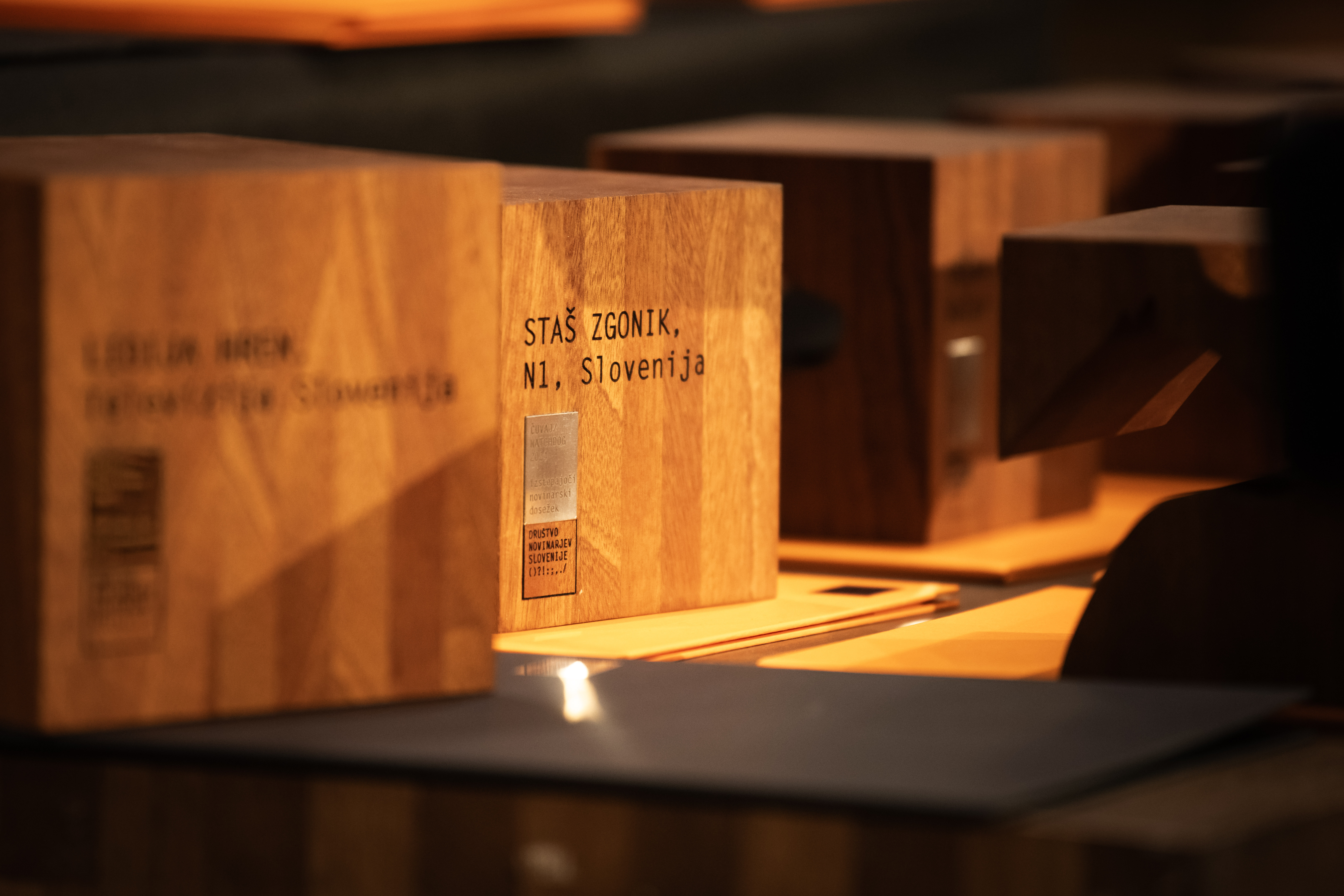 Staš Zgonik, podelitev nagrad, novinarska nagrada, Watchdog, Čuvaj, DNS