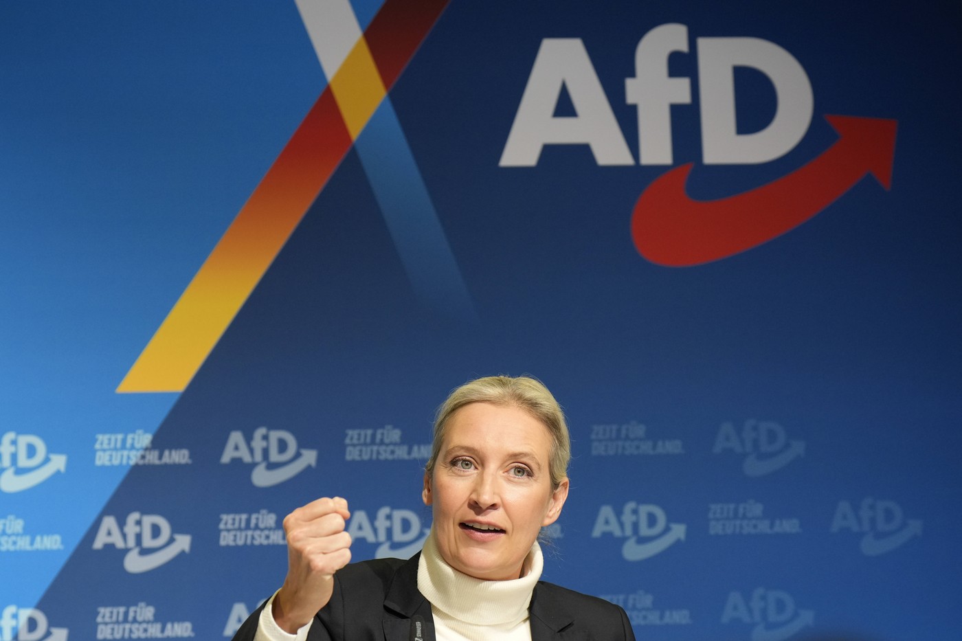 Alice Weidel, afd