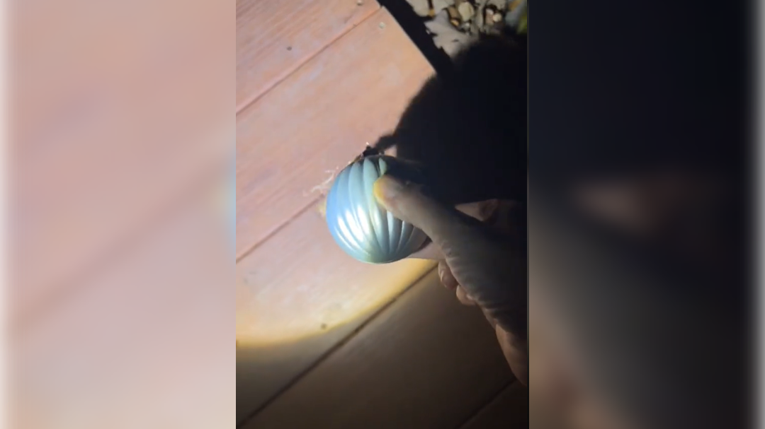 high-res-image - 2024-12-09T084915.200