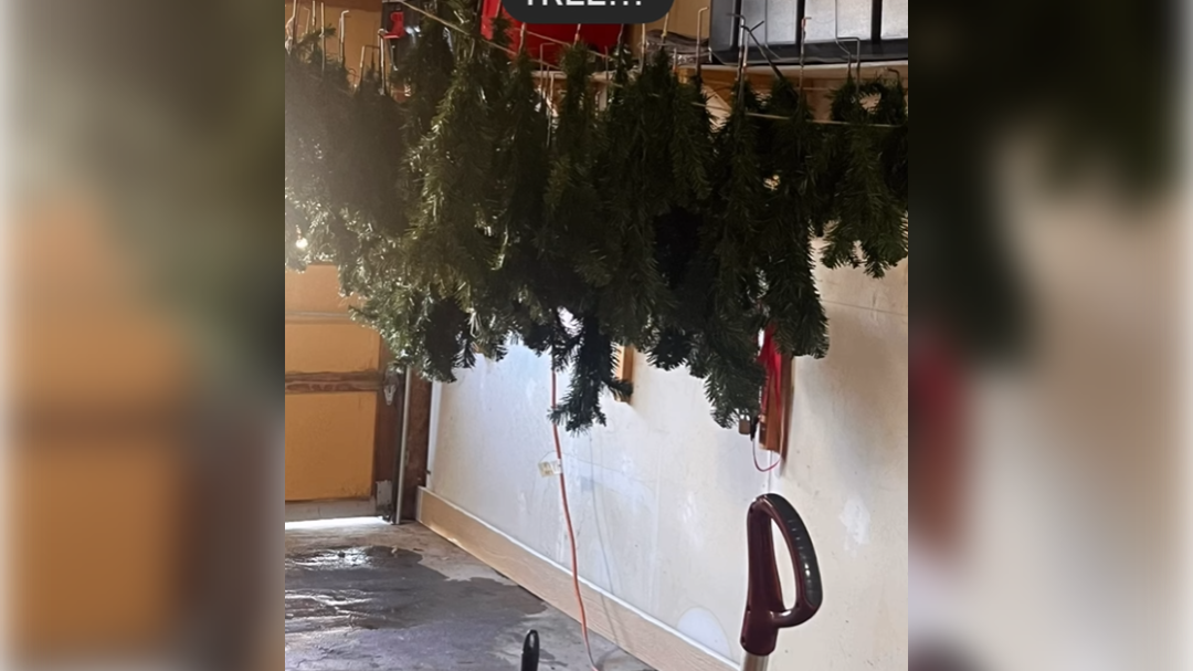 high-res-image - 2024-12-09T130933.844