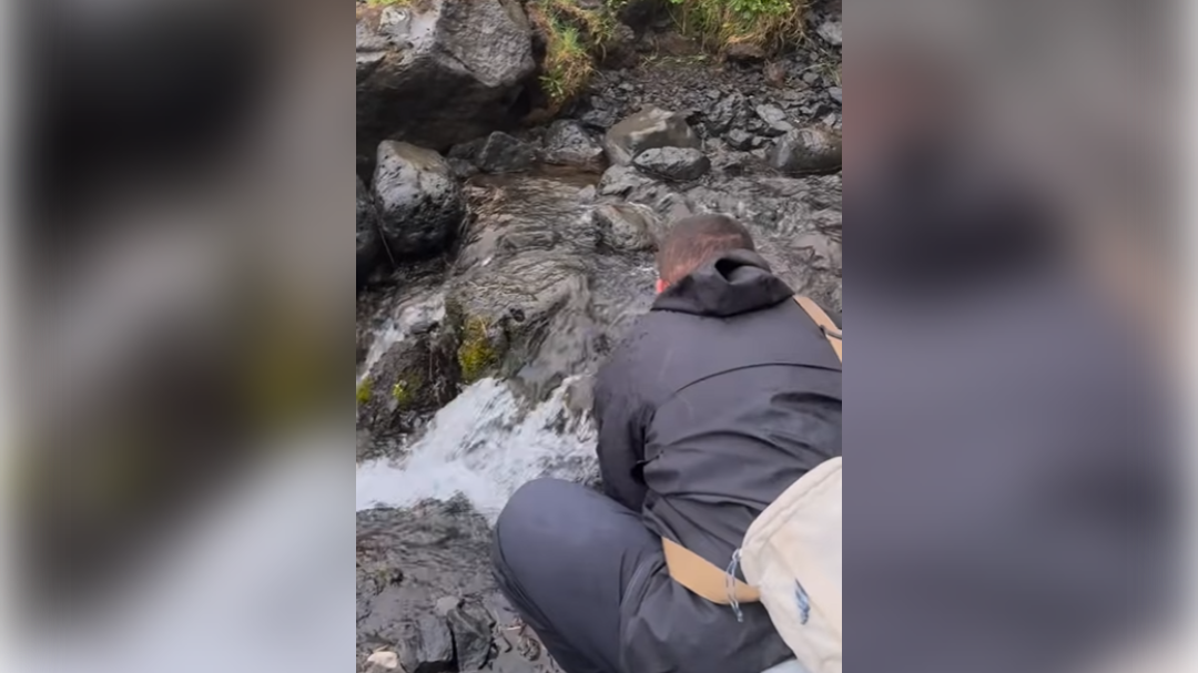 high-res-image - 2024-12-12T105240.497