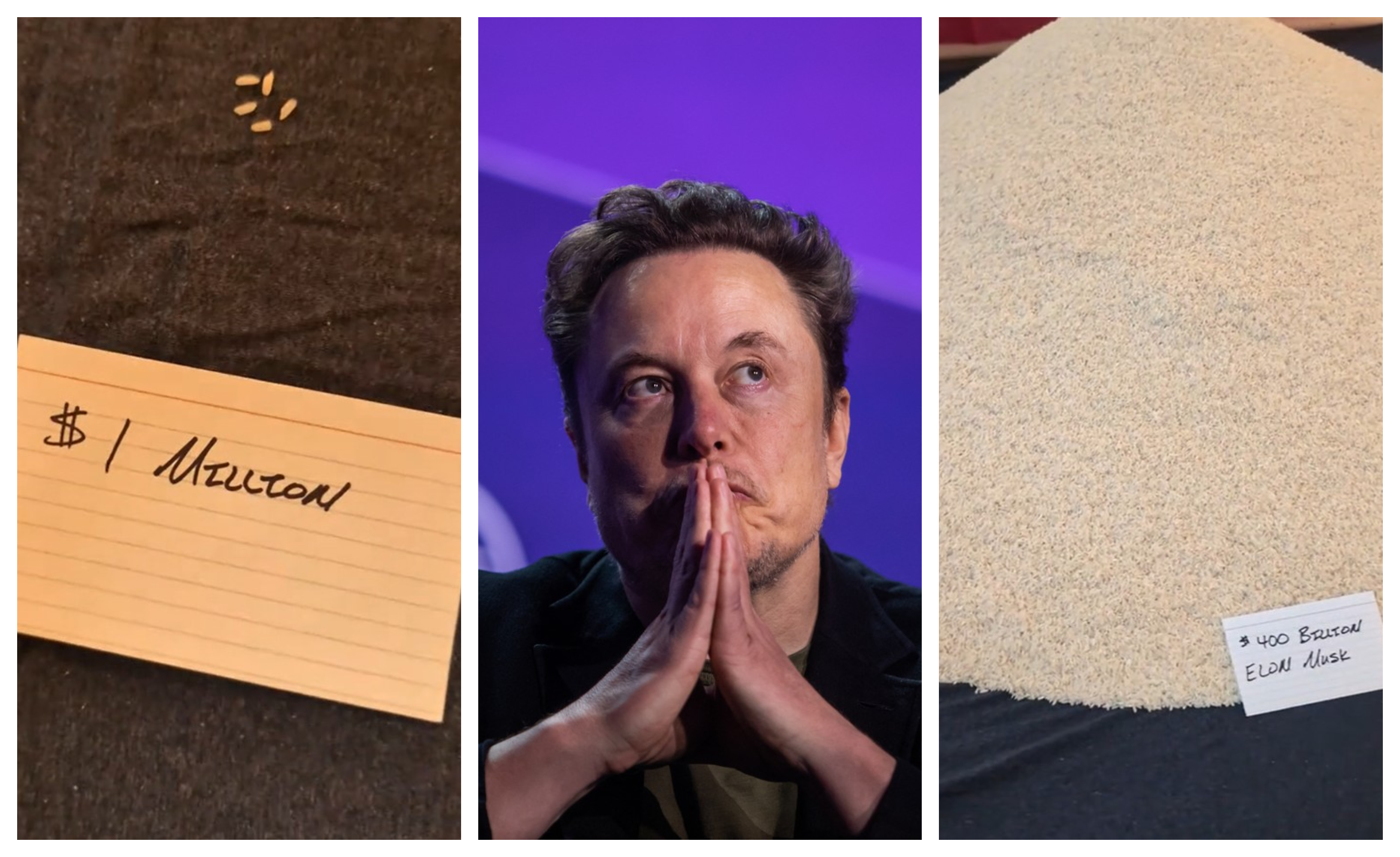 Elon Musk, premoženje, riž, Tik Tok, viralno