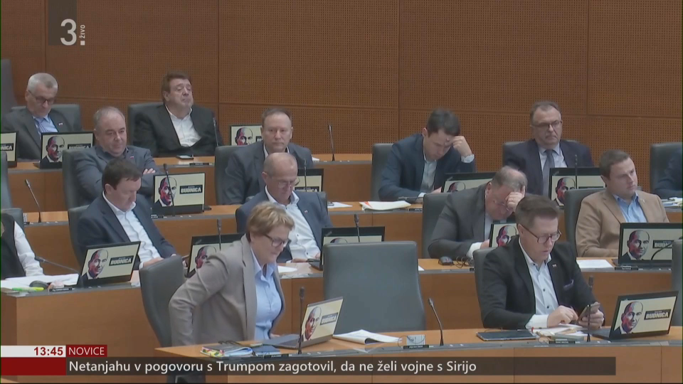 SDS, Budnica, knjiga, Janez Janša