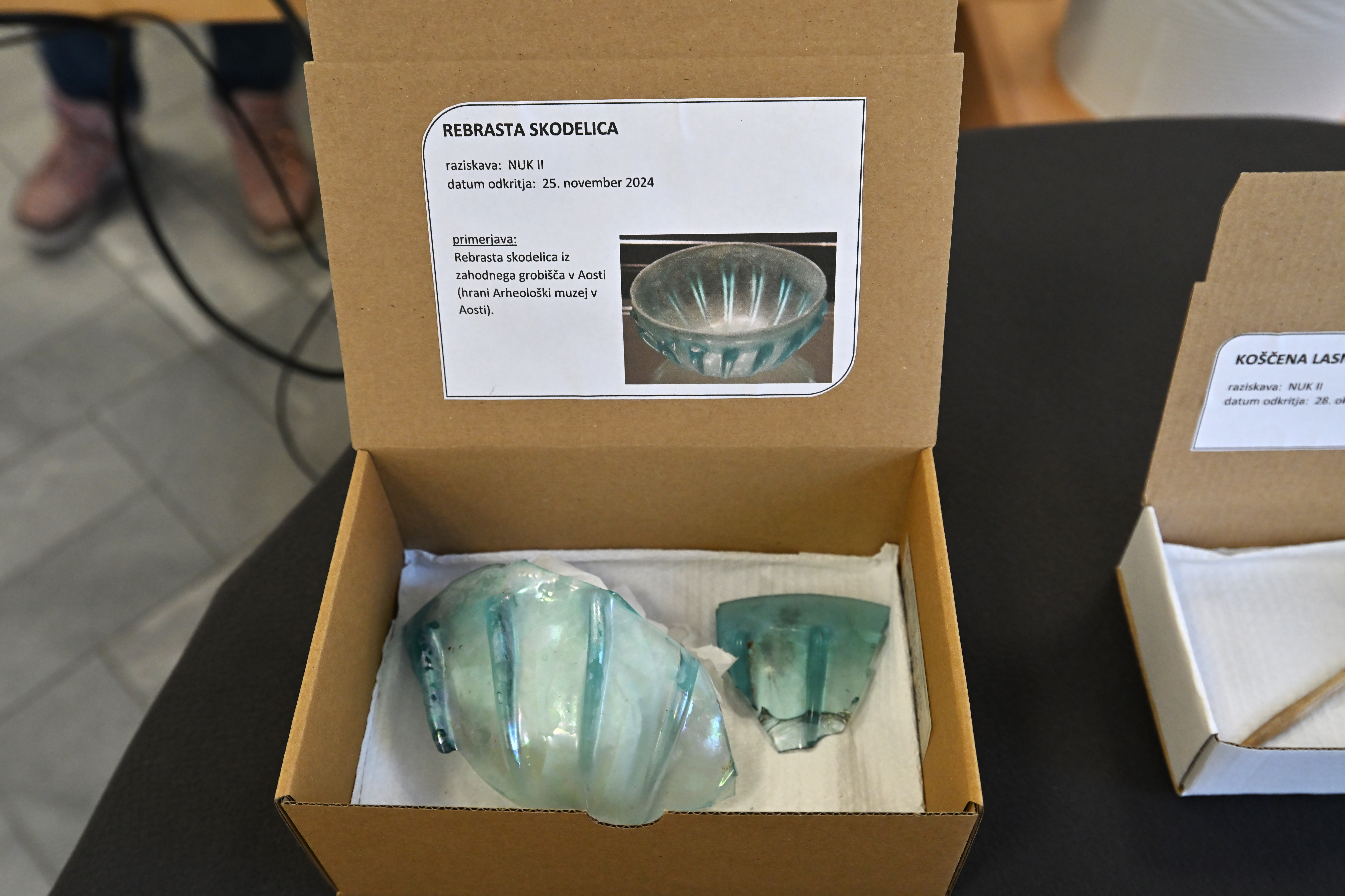 Vodenje po arheološkem najdišču NUK II (Foto: Igor Kupljenik /F.A.BOBO)