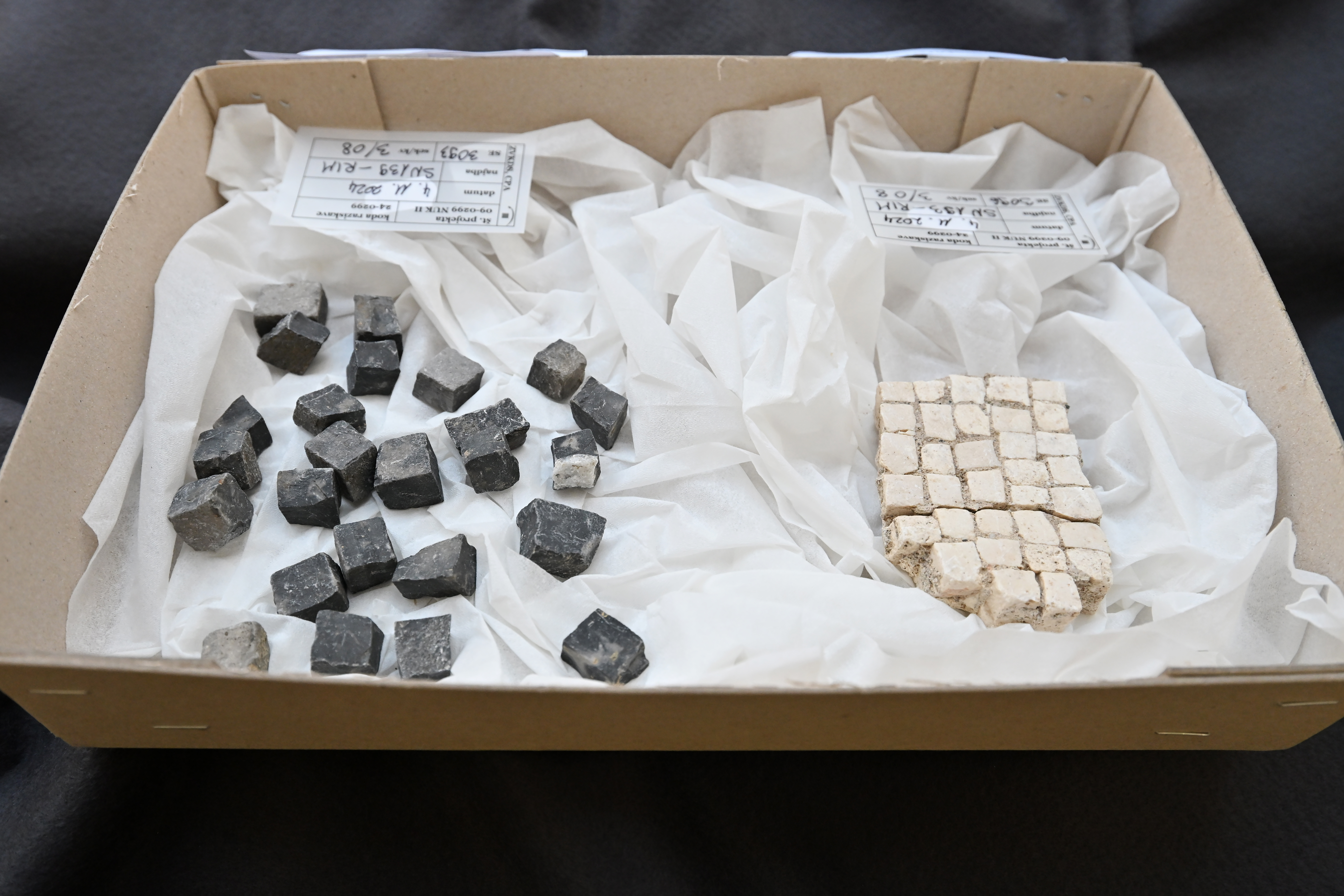 Vodenje po arheološkem najdišču NUK II (Foto: Igor Kupljenik /F.A.BOBO)