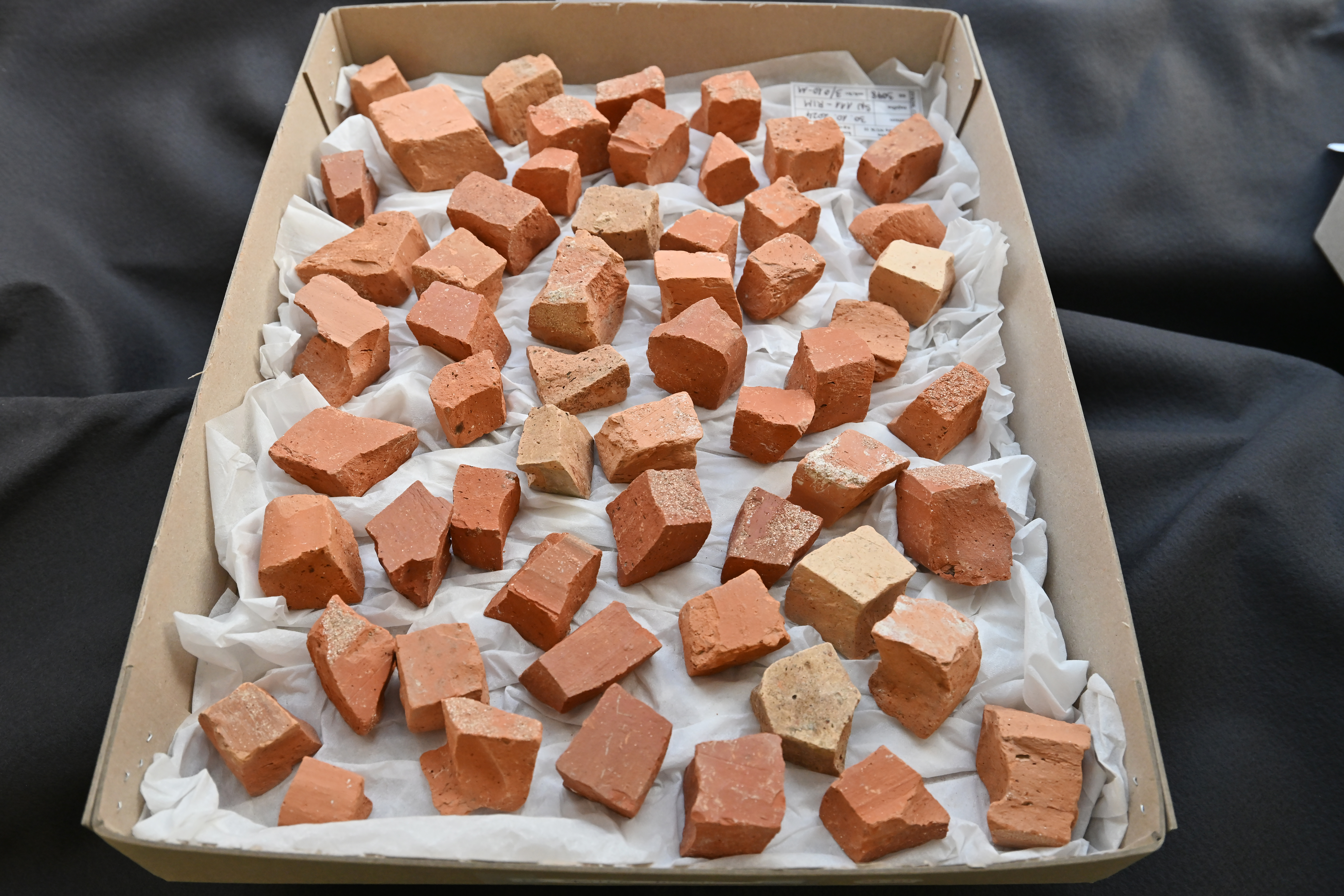 Vodenje po arheološkem najdišču NUK II (Foto: Igor Kupljenik /F.A.BOBO)