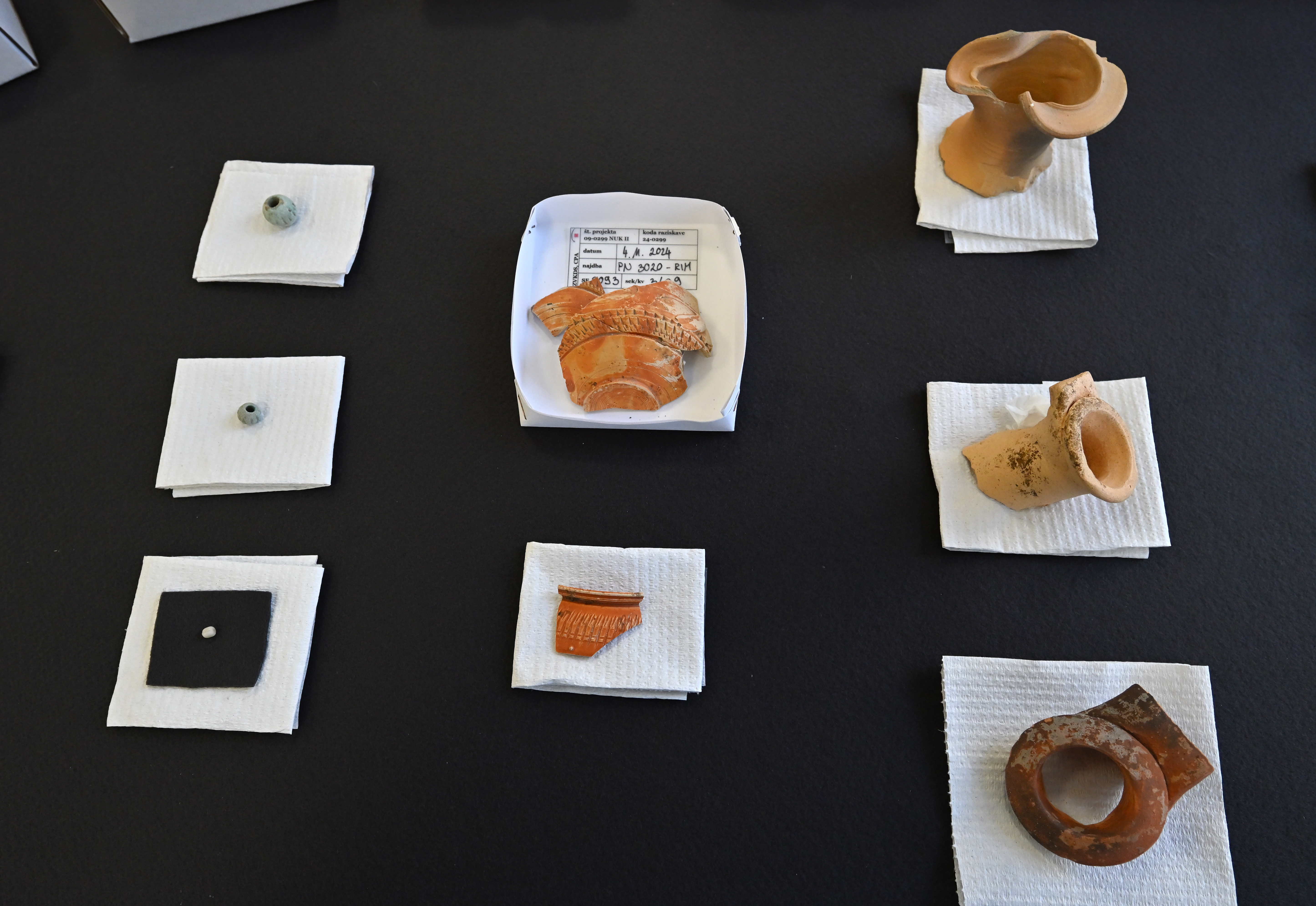 Vodenje po arheološkem najdišču NUK II (Foto: Igor Kupljenik /F.A.BOBO)