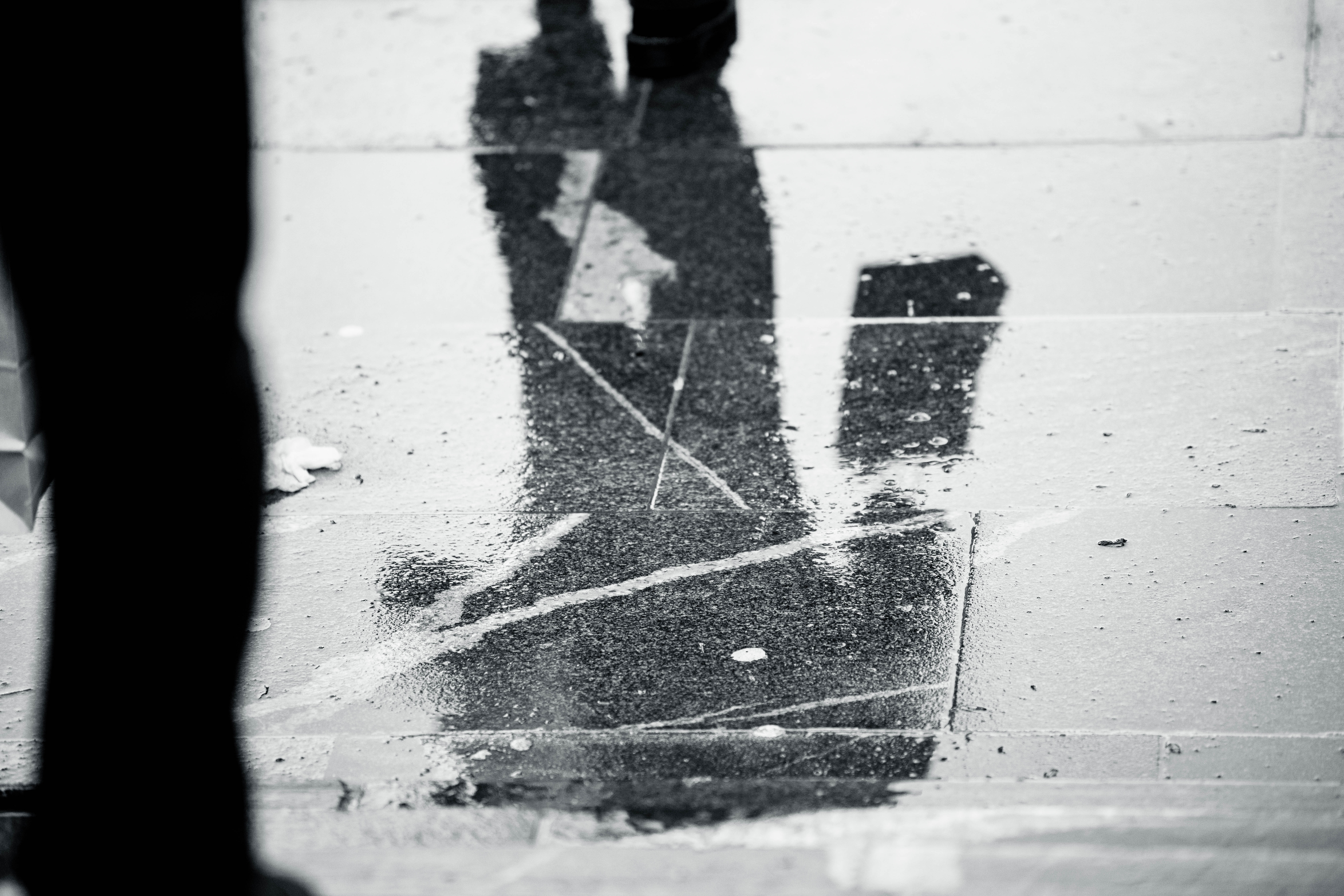 senca silhueta črnobela