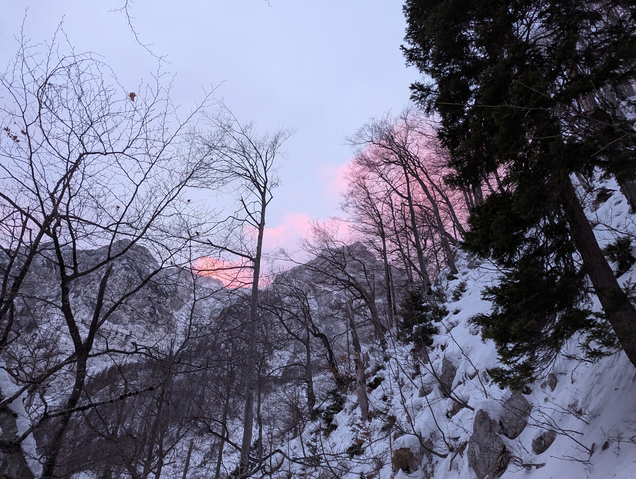 Foto: @Gorska Reševalna Zveza Slovenije/FACEBOOK