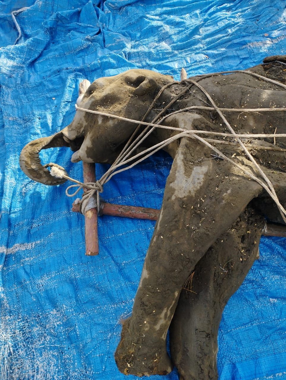 Foto: Nikolai Gogolev/REUTERS