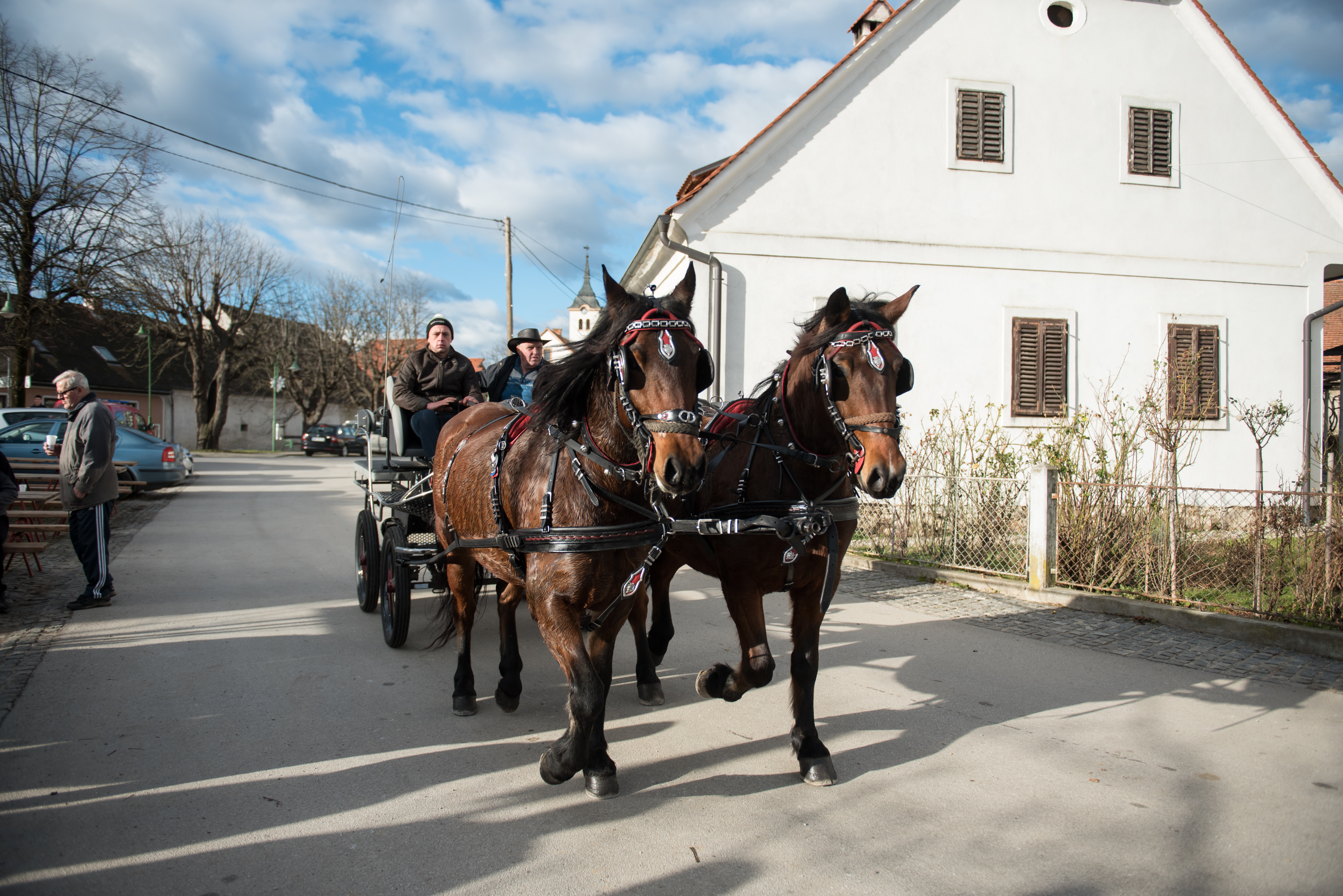blagoslov konj, sveti štefan
