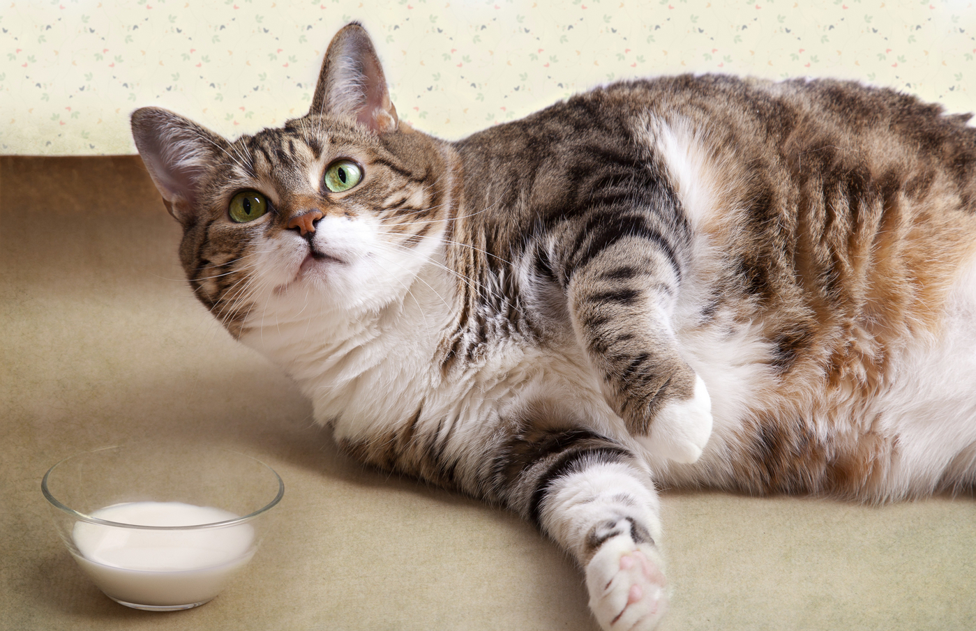 profimedia-0846366267