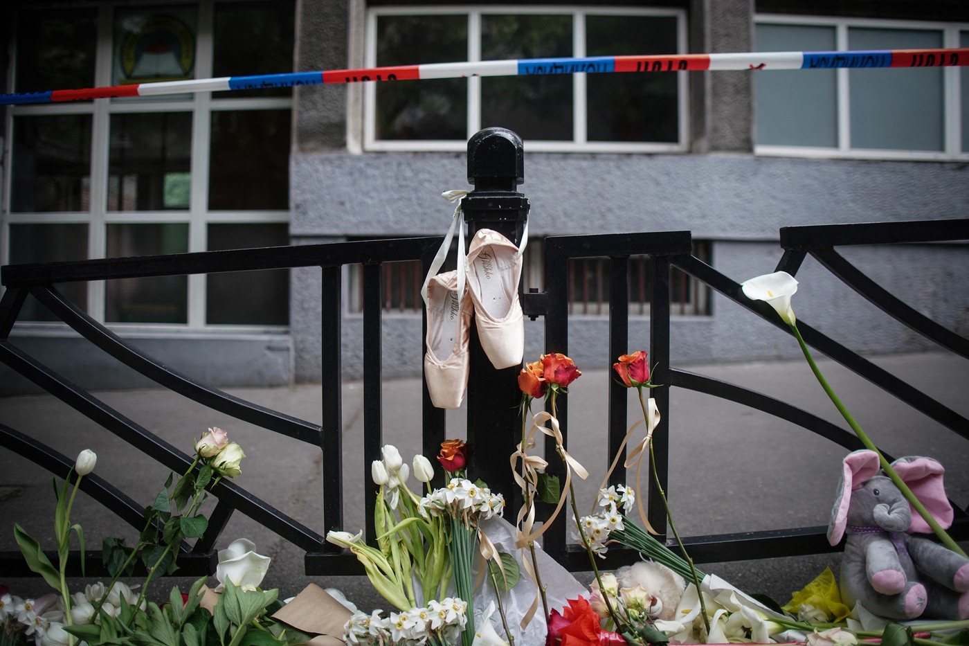 streljanje, beograd, vladislav ribnikar