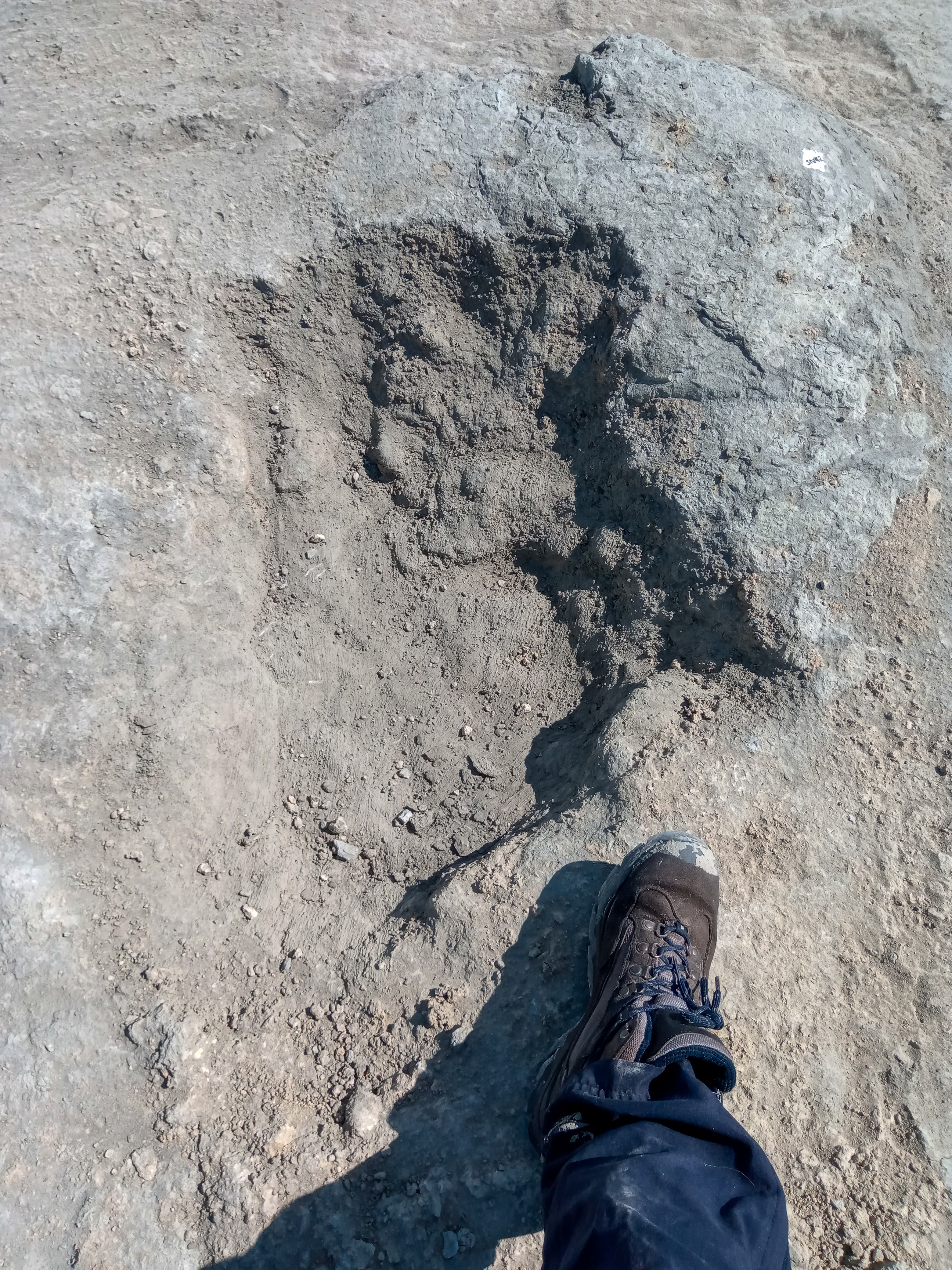 Foto: Caroline Wood/University of Oxford