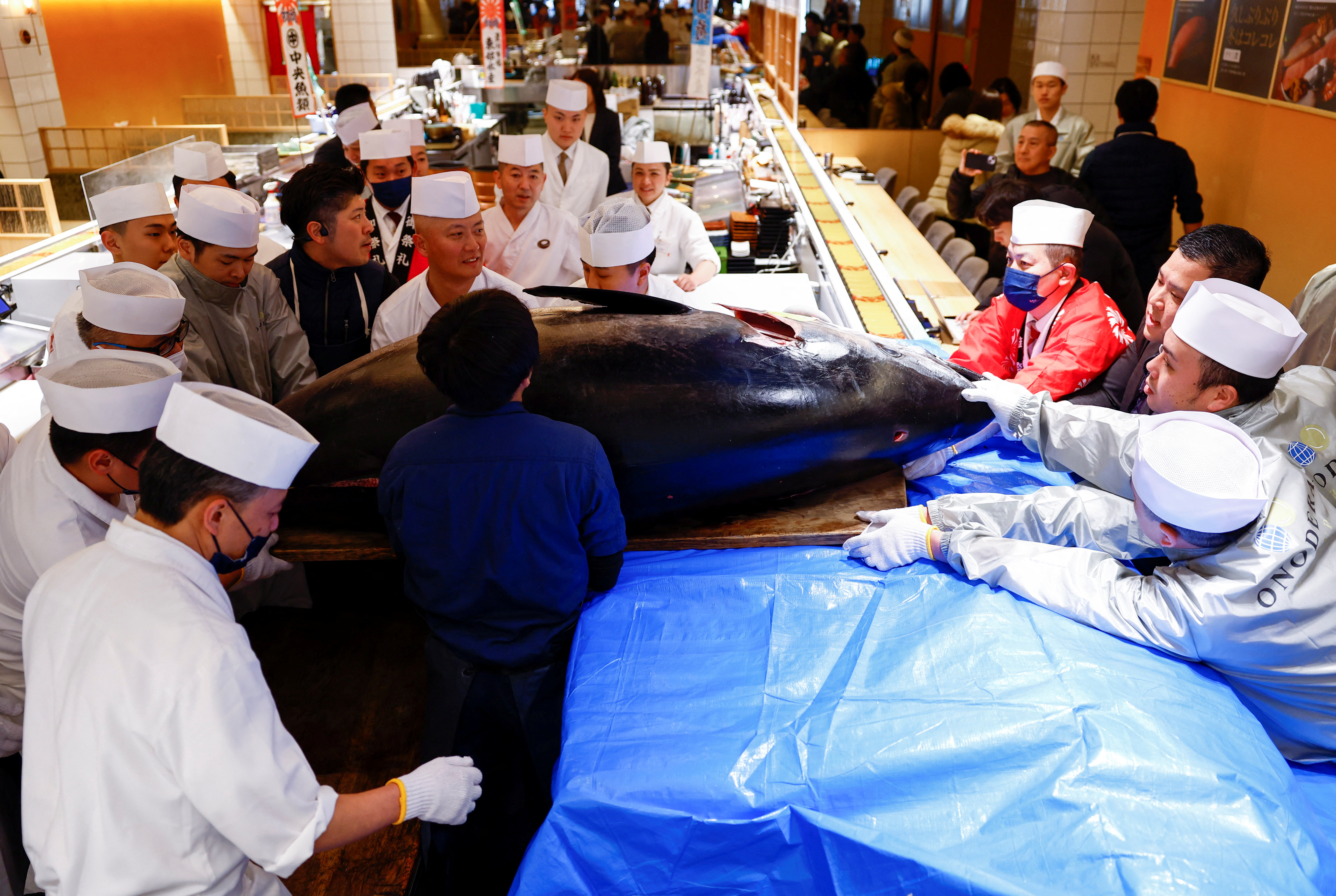 tun, dražba, japonska, tržnica