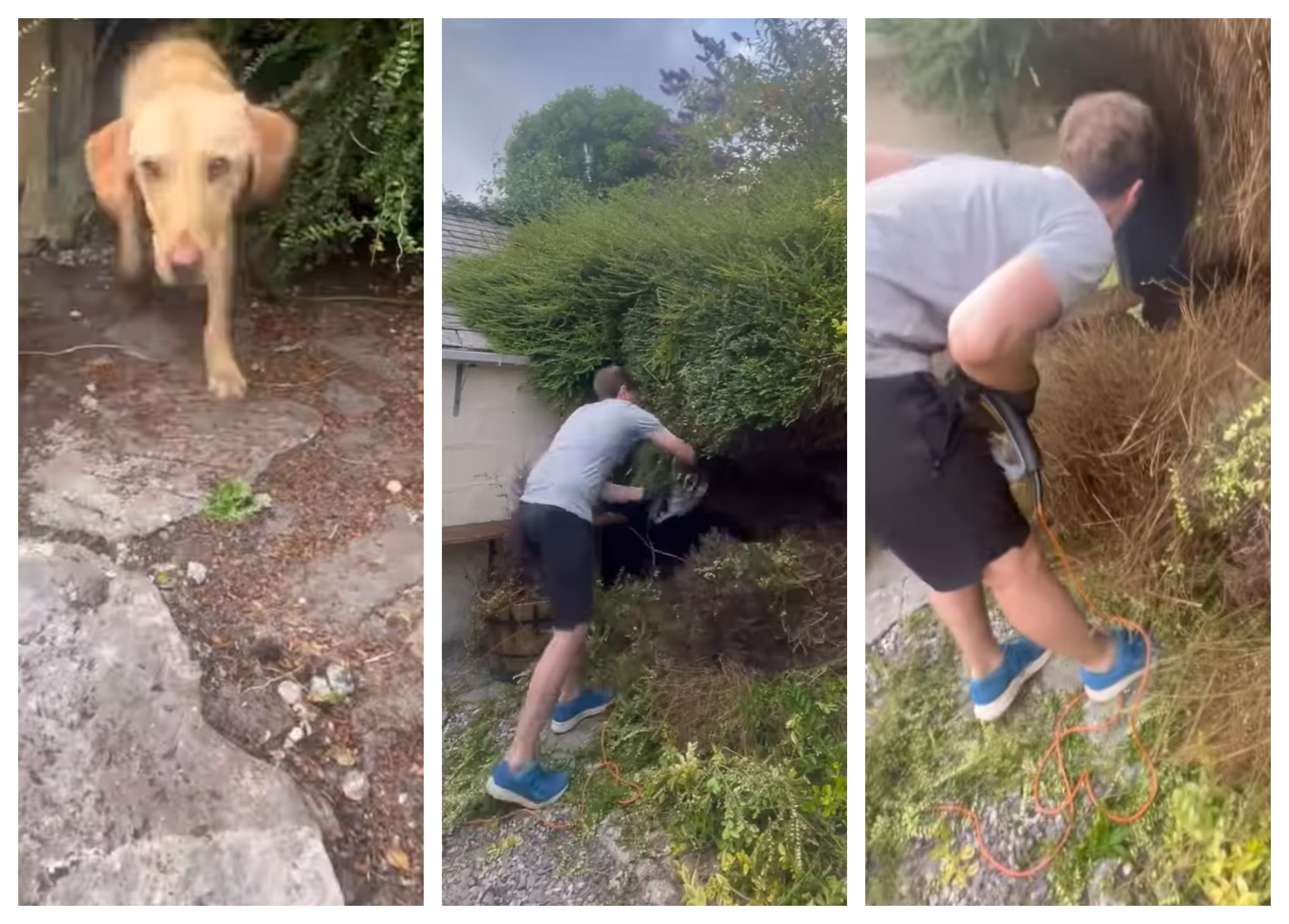 Instagram, zgradba, najdba, viralno