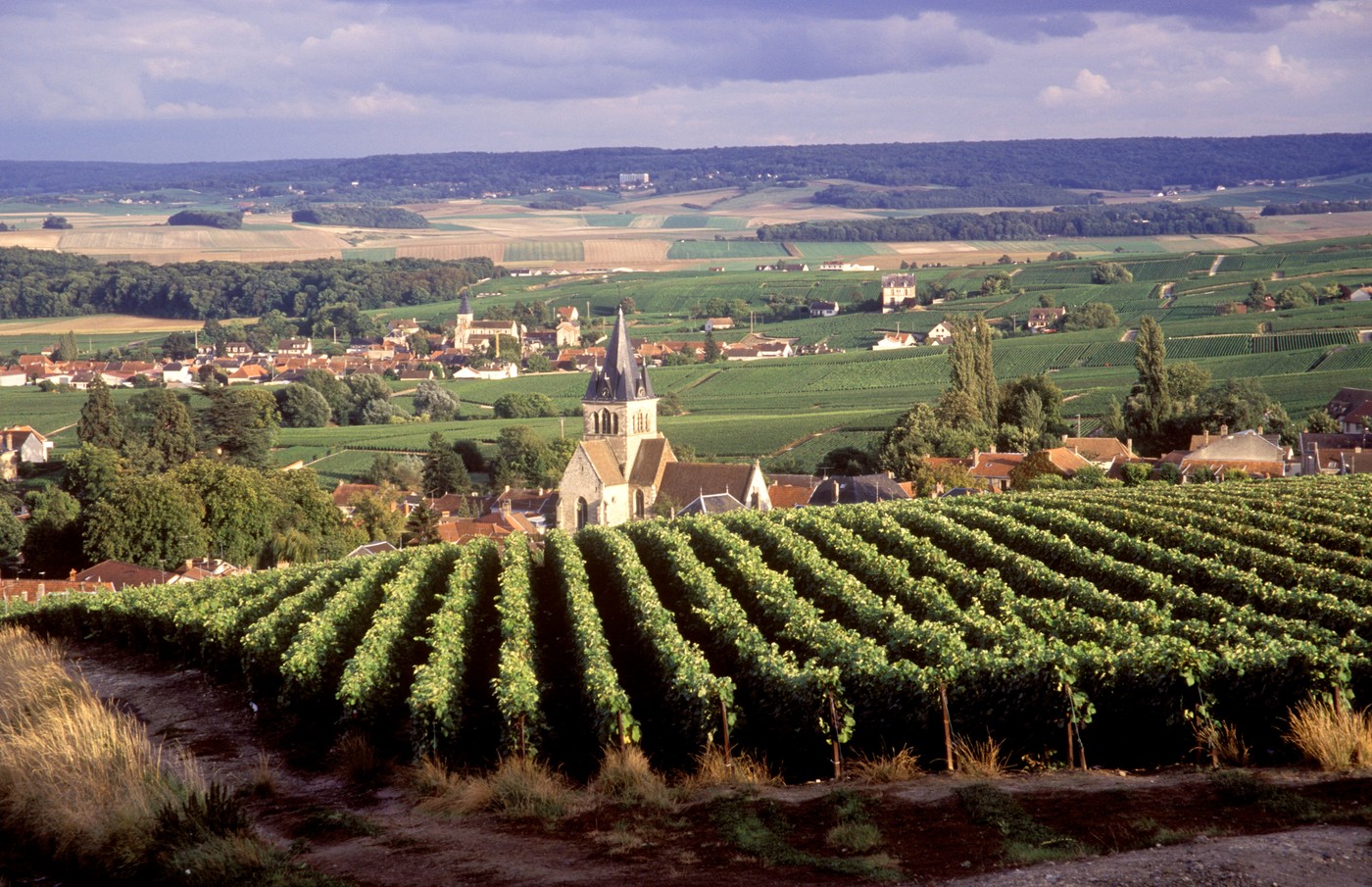 Typical wine village surrounded by champagne vineyards