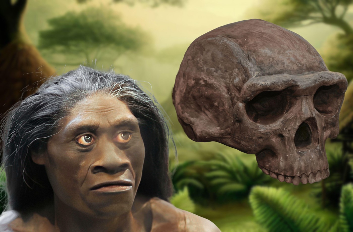 Homo floresiensis,, Hobit,