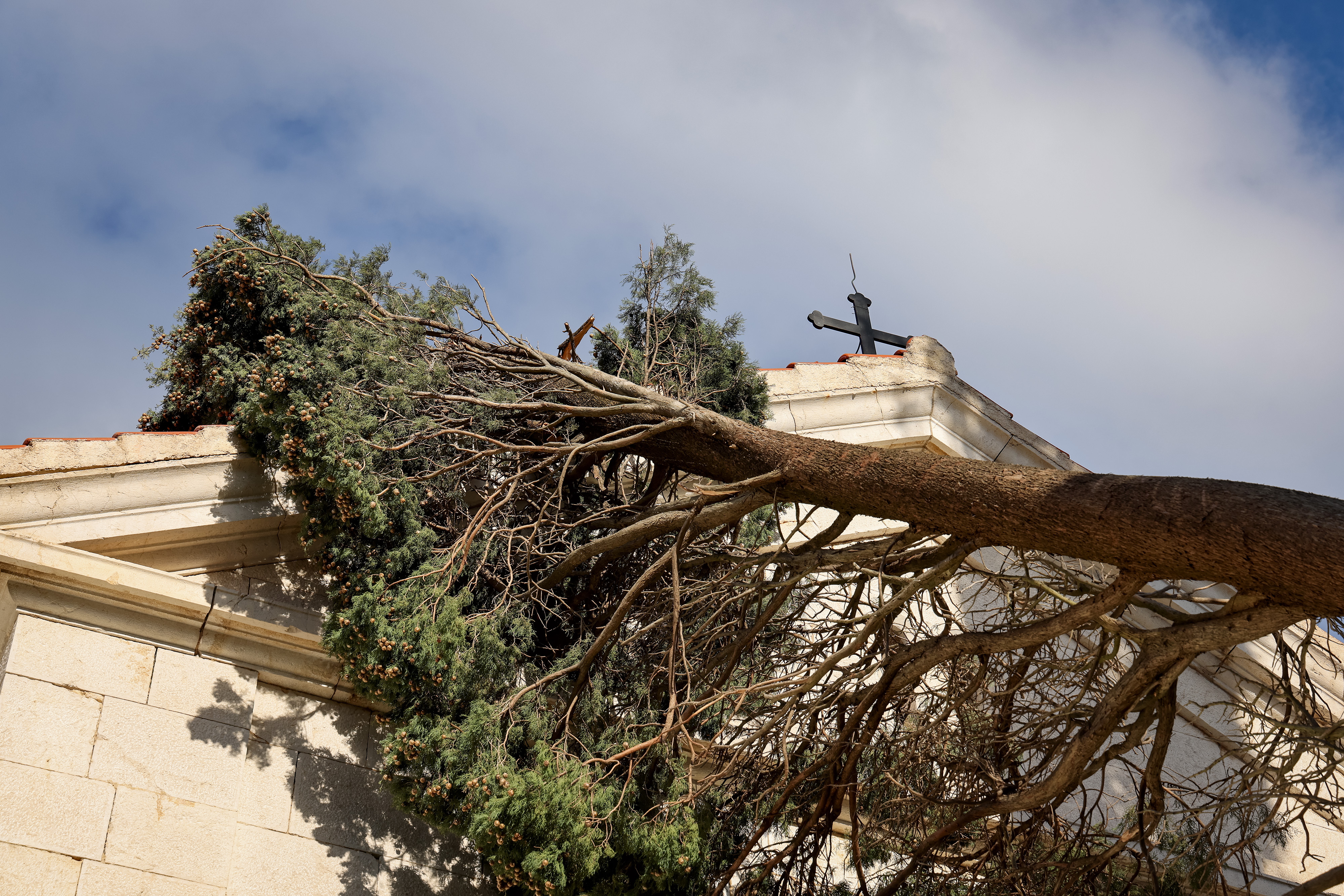 burja, novigrad, zarad, vodna tromba, izruvano drevje