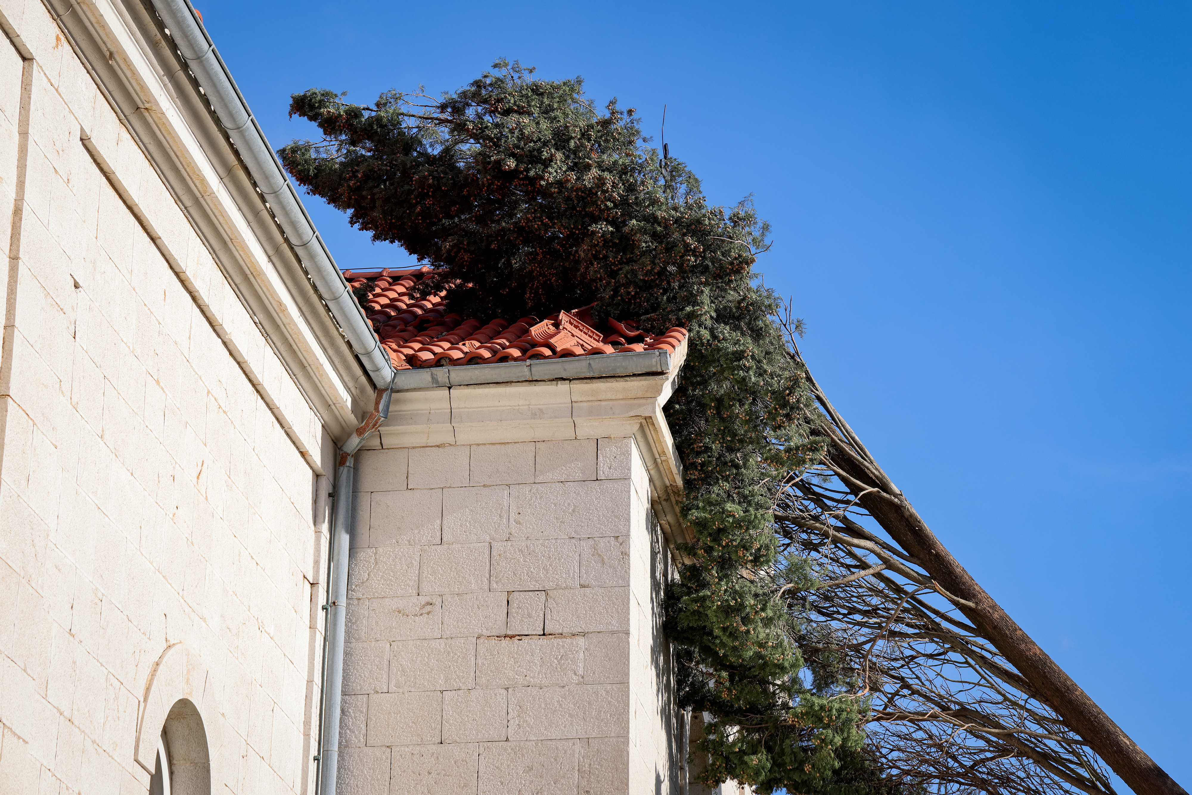 burja, novigrad, zarad, vodna tromba, izruvano drevje