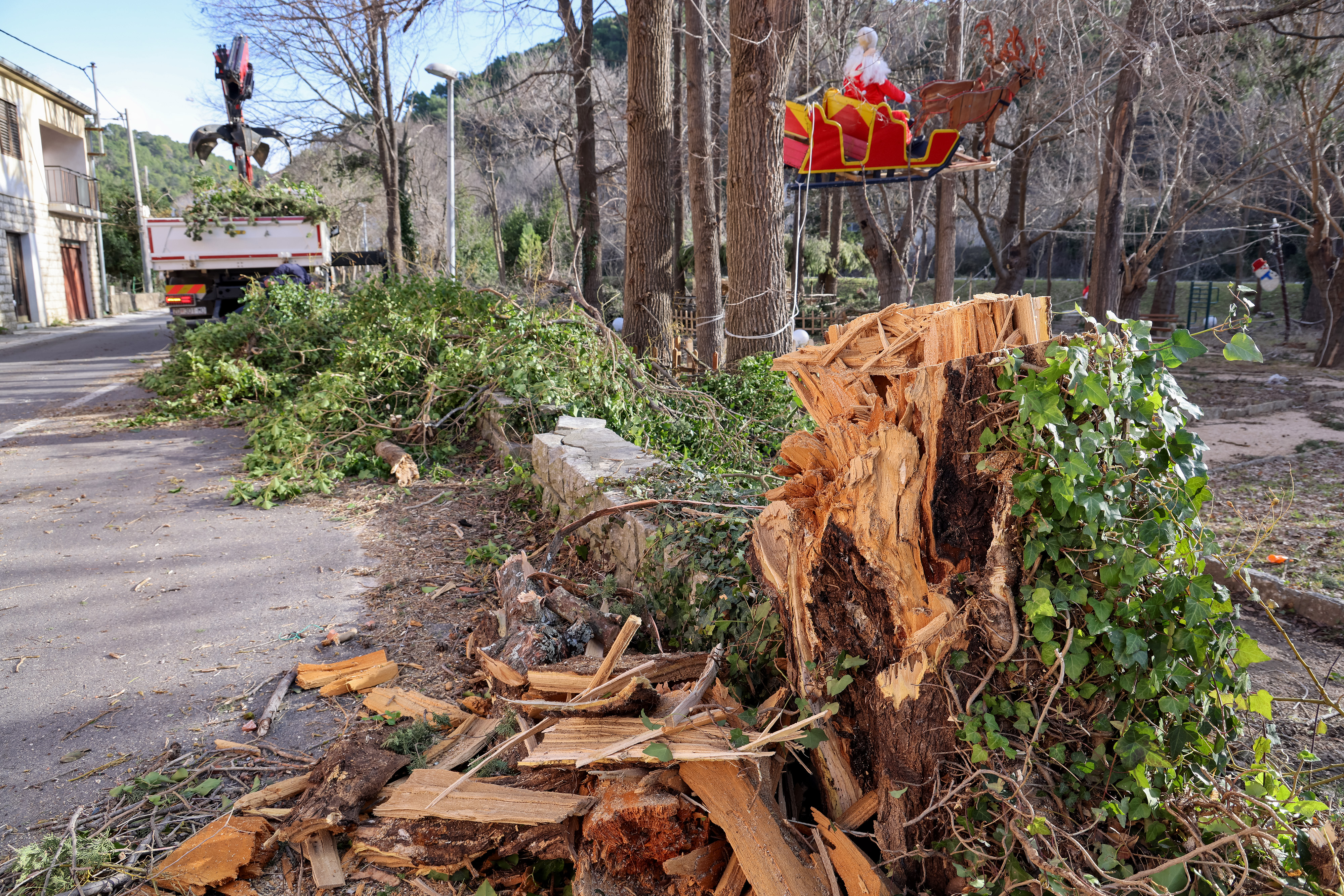 burja, novigrad, zarad, vodna tromba, izruvano drevje