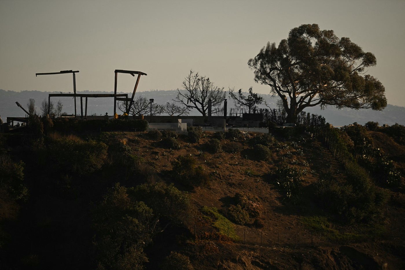 Požar Los Angeles 4