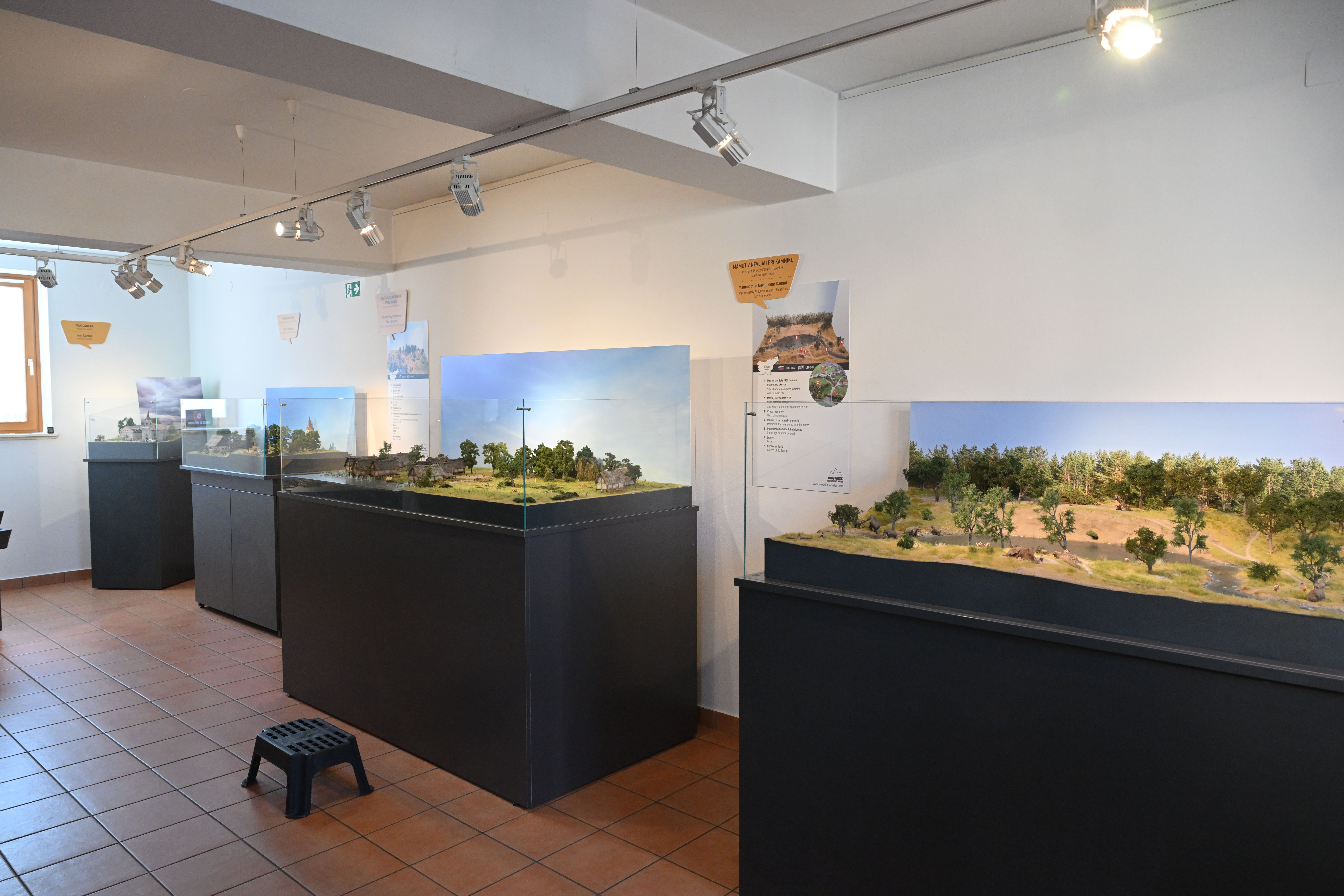 Foto: Žiga Živulović jr./BOBO