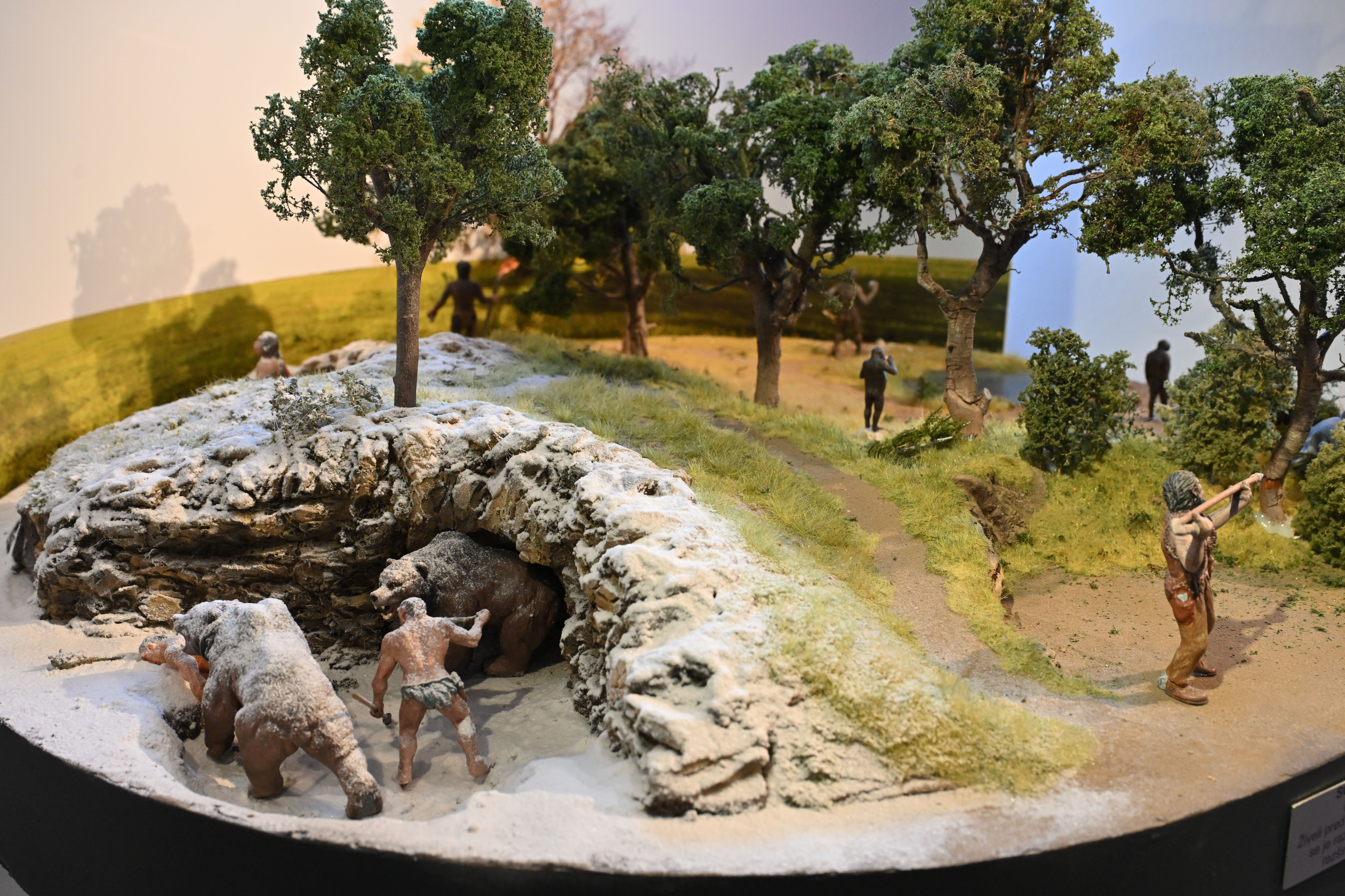 Foto: Žiga Živulović jr./BOBO