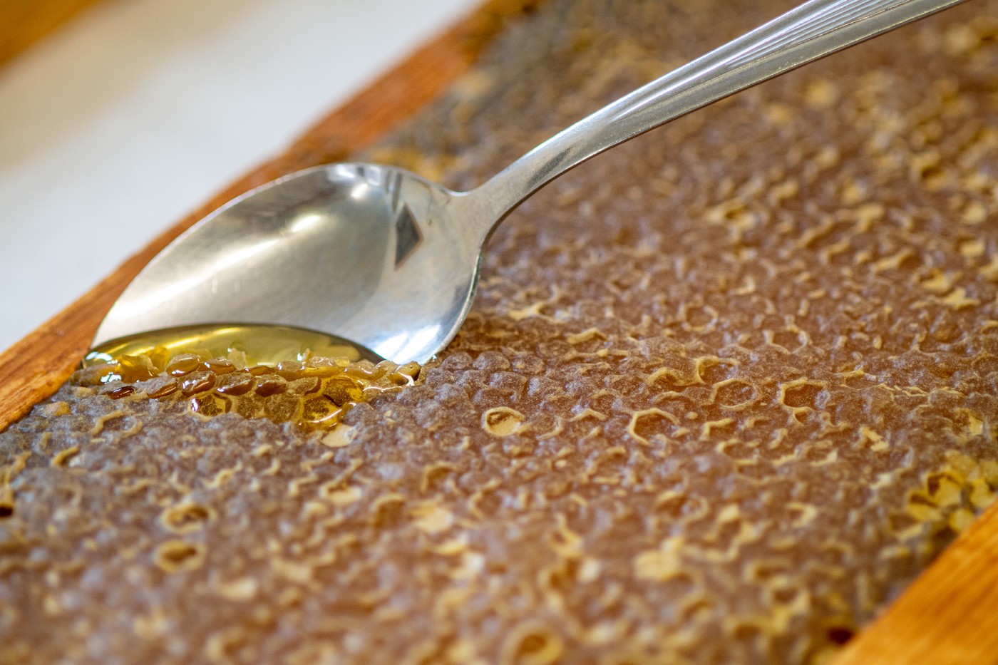 profimedia-0954604062