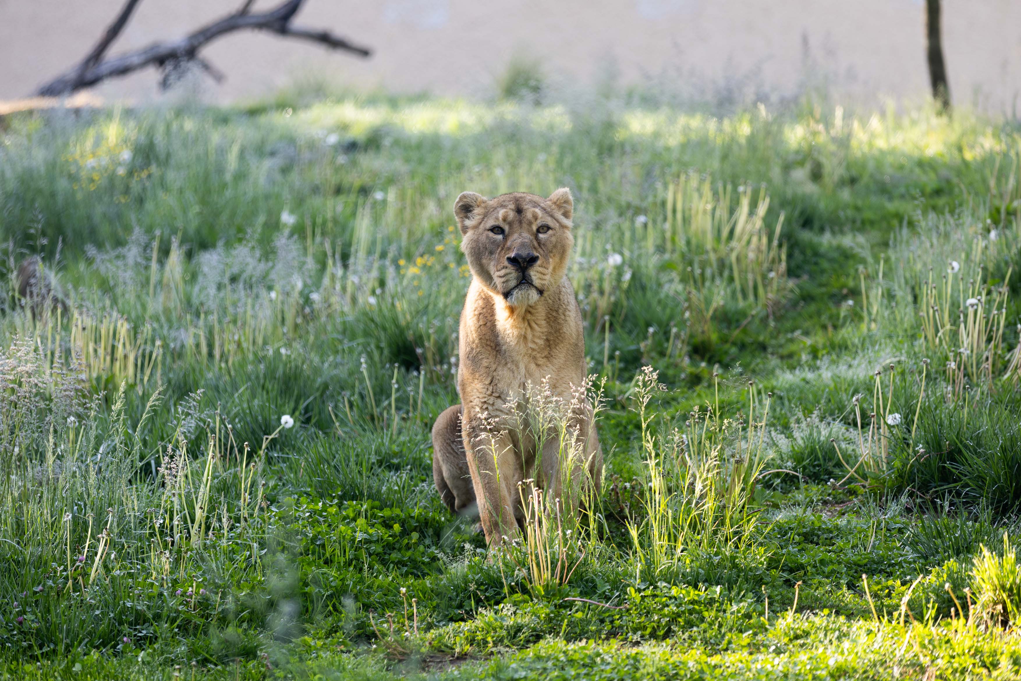 Foto: Petra Hrovatin