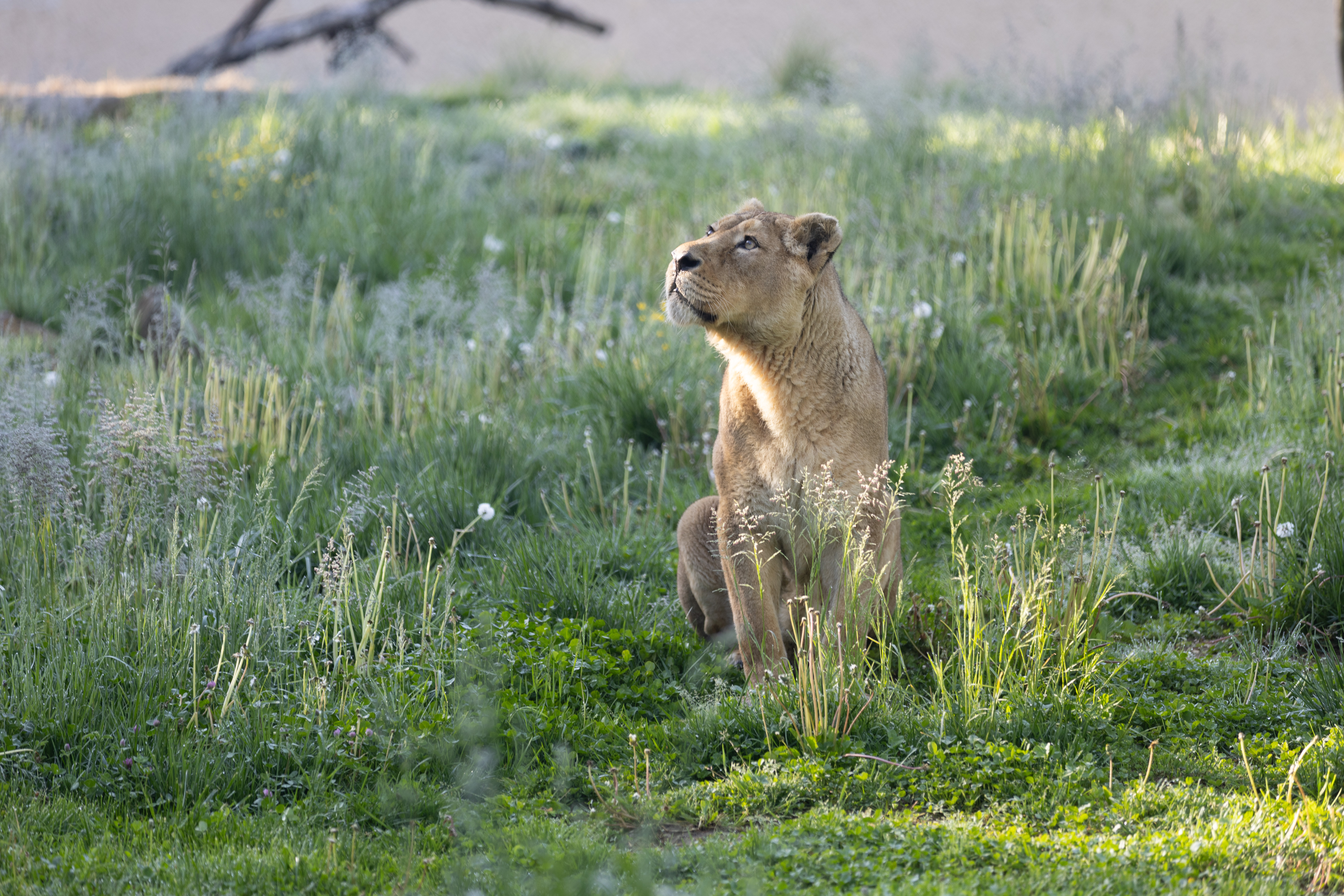 Foto: Petra Hrovatin