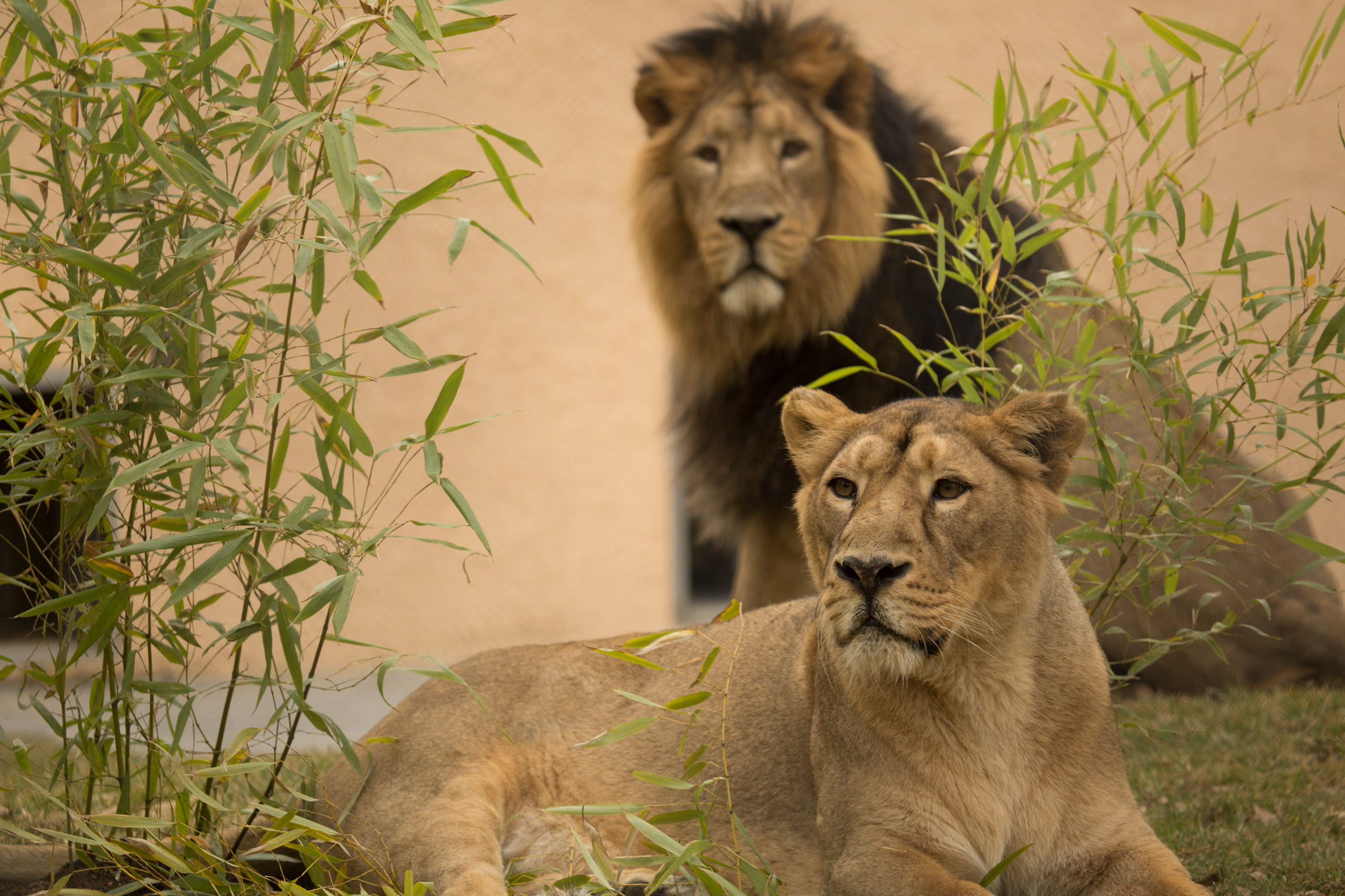 Foto: Petra Hrovatin