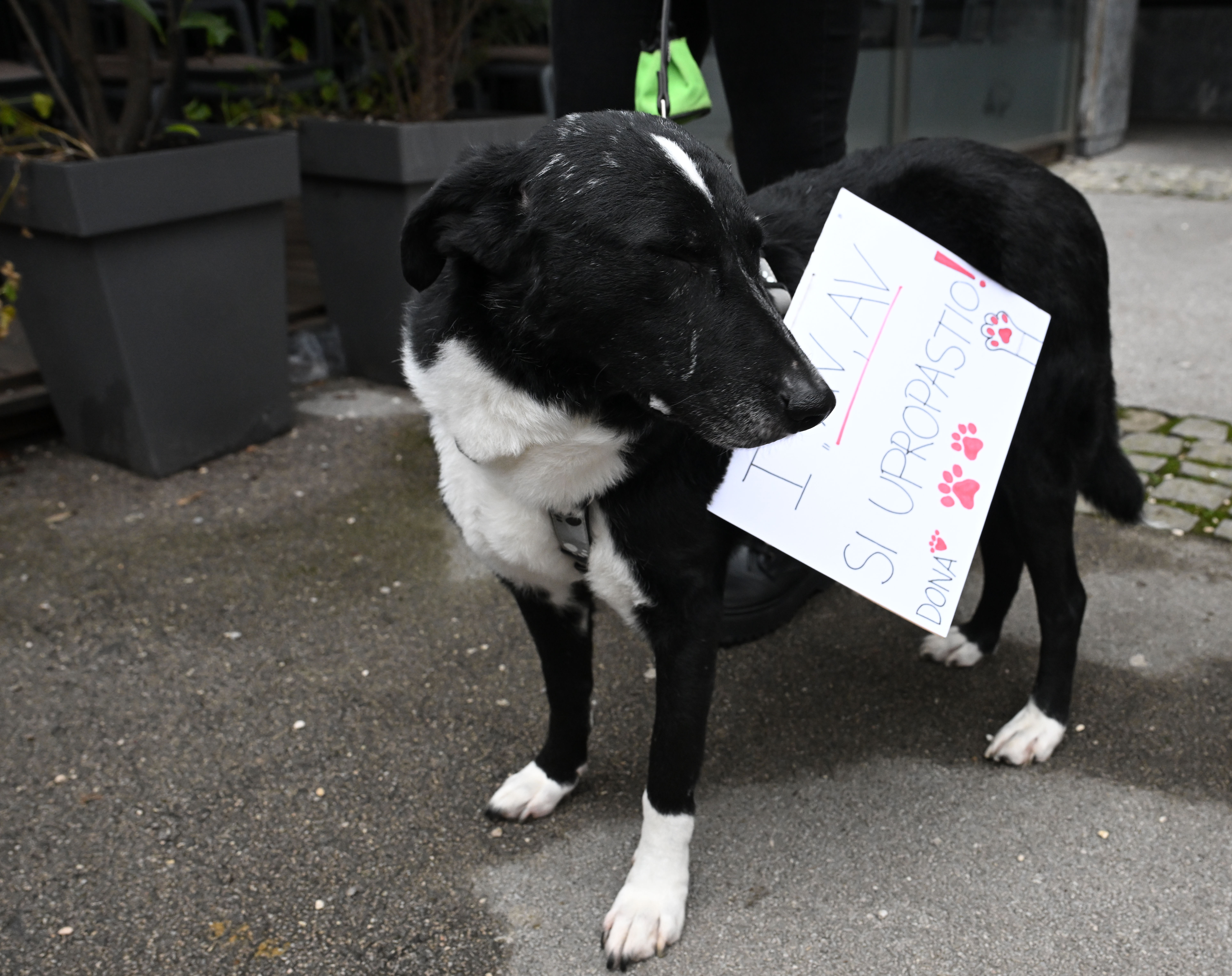 protest, ljubljana, srbsko veleposlaništvo