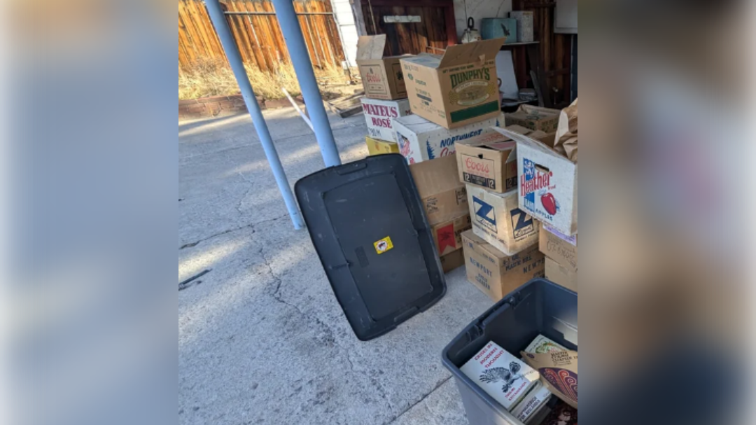 škatle, klet, knjige