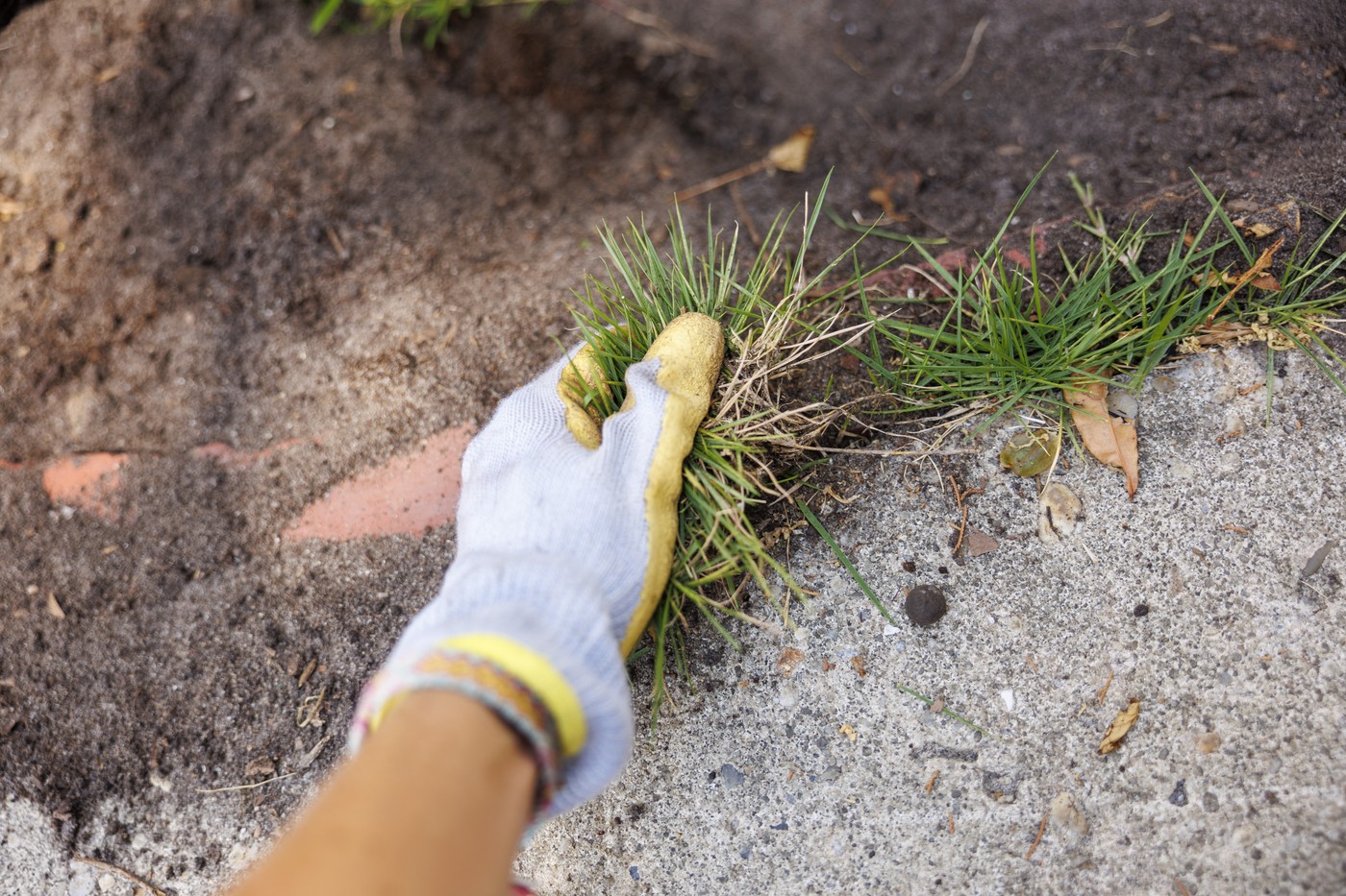 urejanje, vrt, trava
