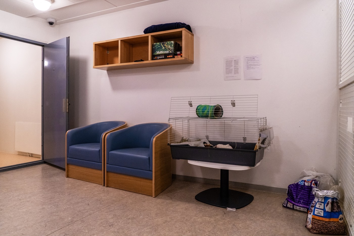 Del zaporniške celice  Andersa Behringa Breivika (Foto: PROFIMEDIA)