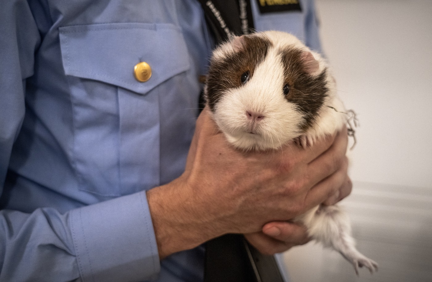 ZAPORNIŠKA CELICA, Anders Behring Breivik