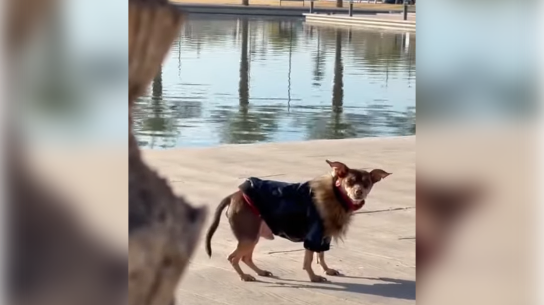 high-res-image - 2025-01-30T131055.587