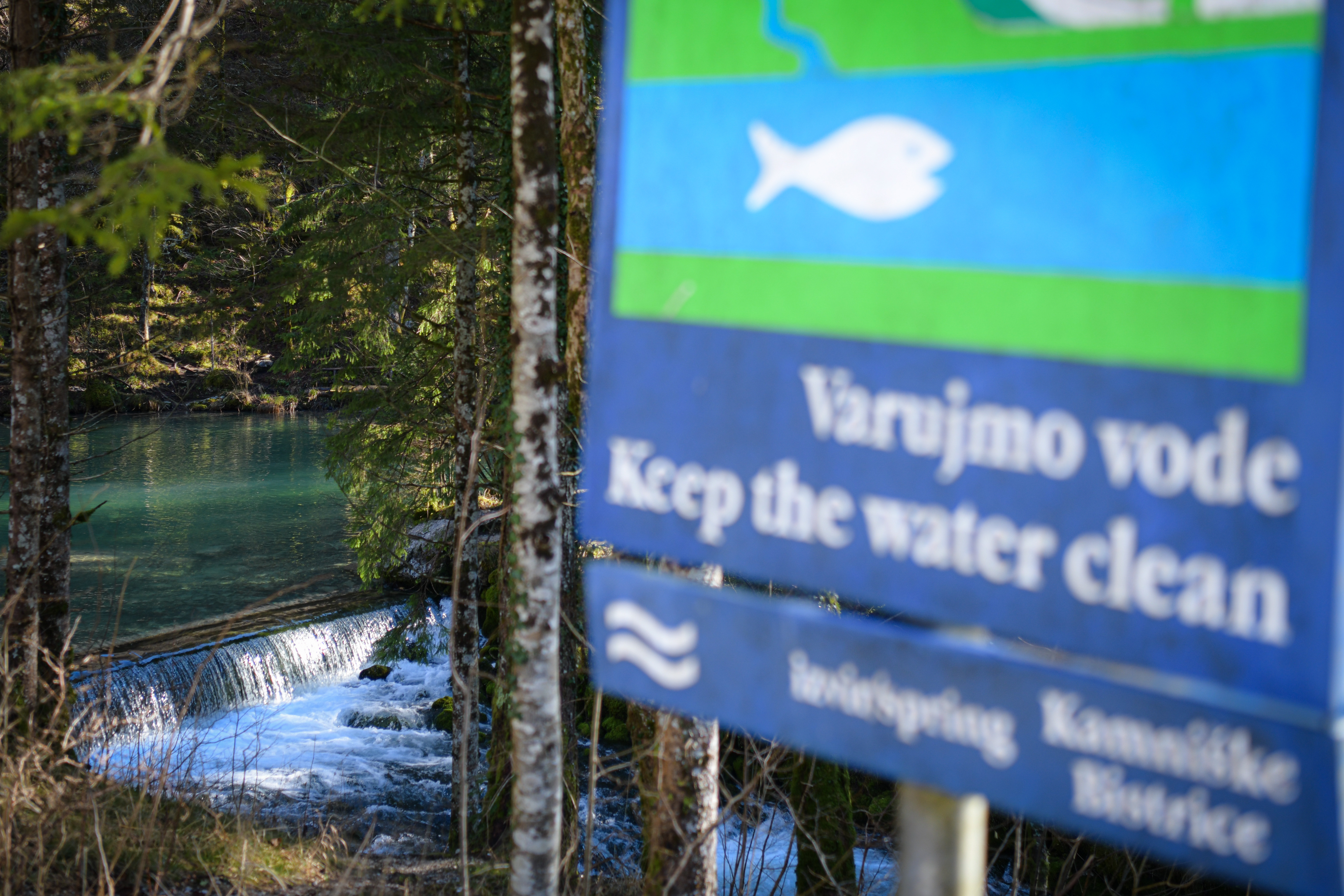 kamniška bistrica, izvir kamniške bistrice, reka, narava, gorenjska