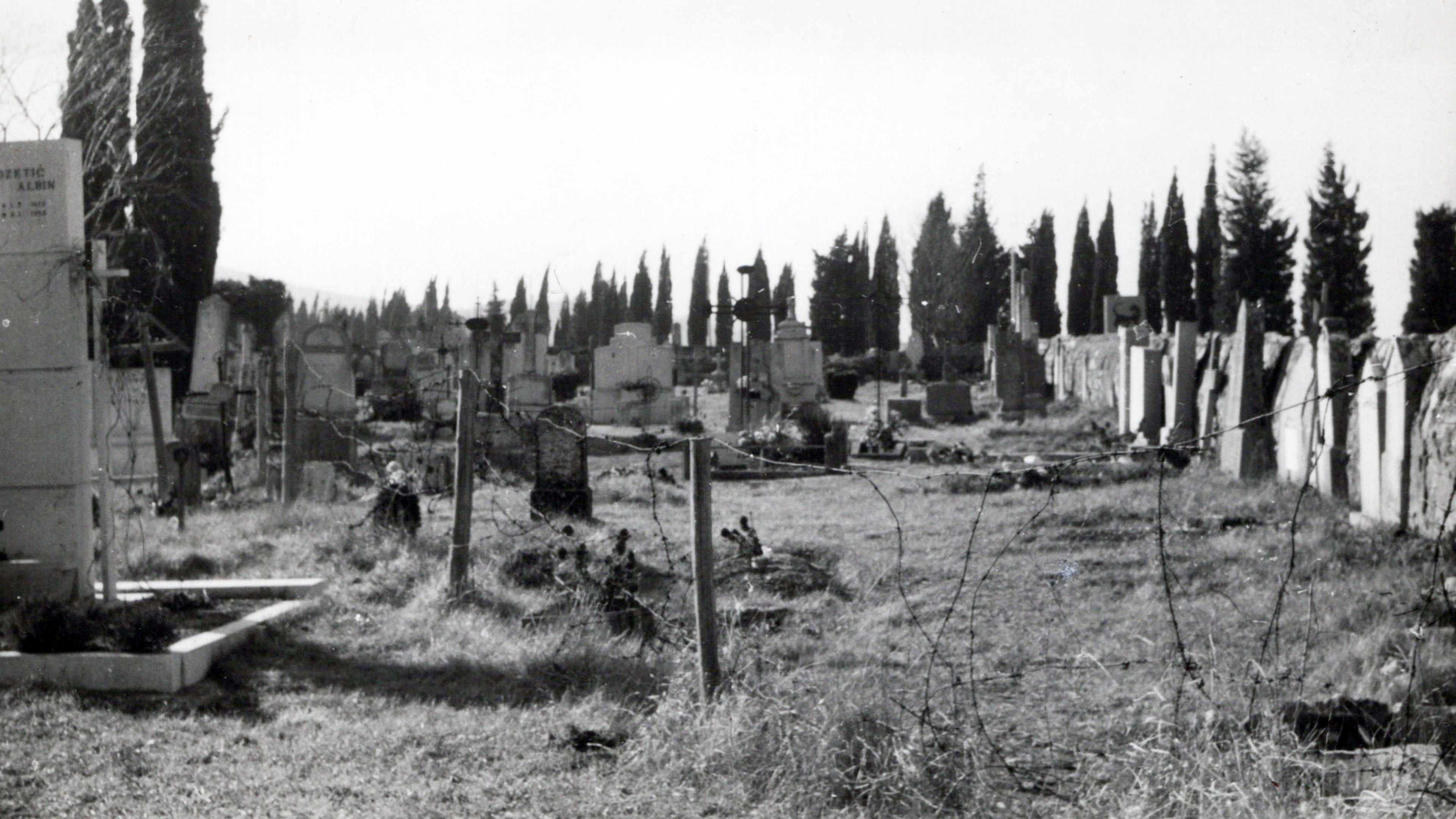 Količki z bodečo žico, ki deli pokopališče v Mirnu leta 1962 (Foto: Fototeka Goriškega muzeja)