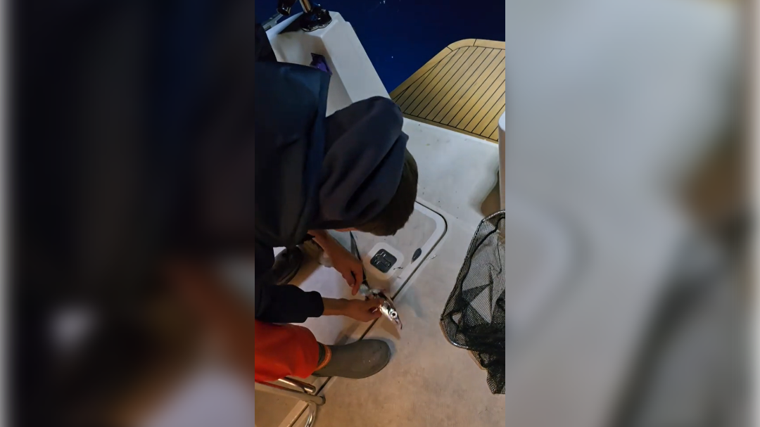 high-res-image - 2025-01-31T114338.586