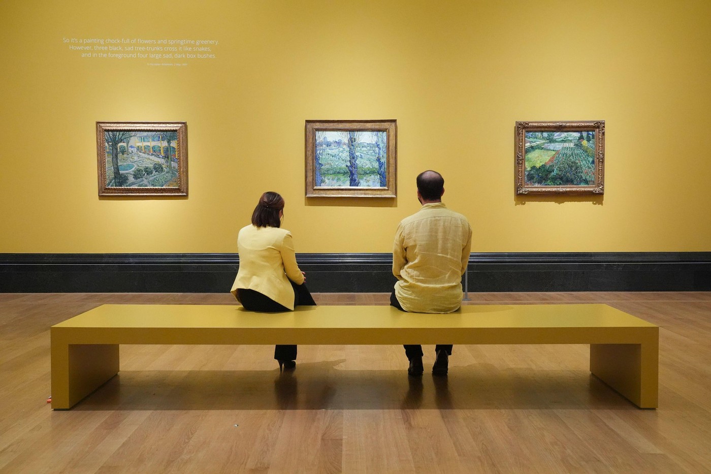 Van Goghova dela Dvorišče bolnišnice v Arlesu, Pogled iz Arlesa in Polje z maki (