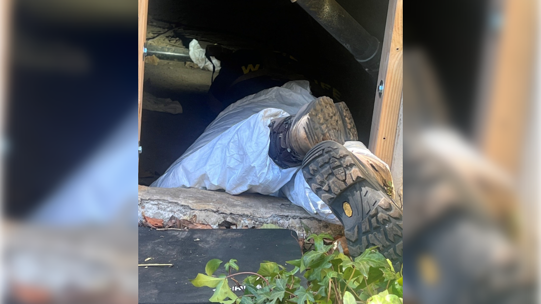 high-res-image - 2025-02-03T122256.985