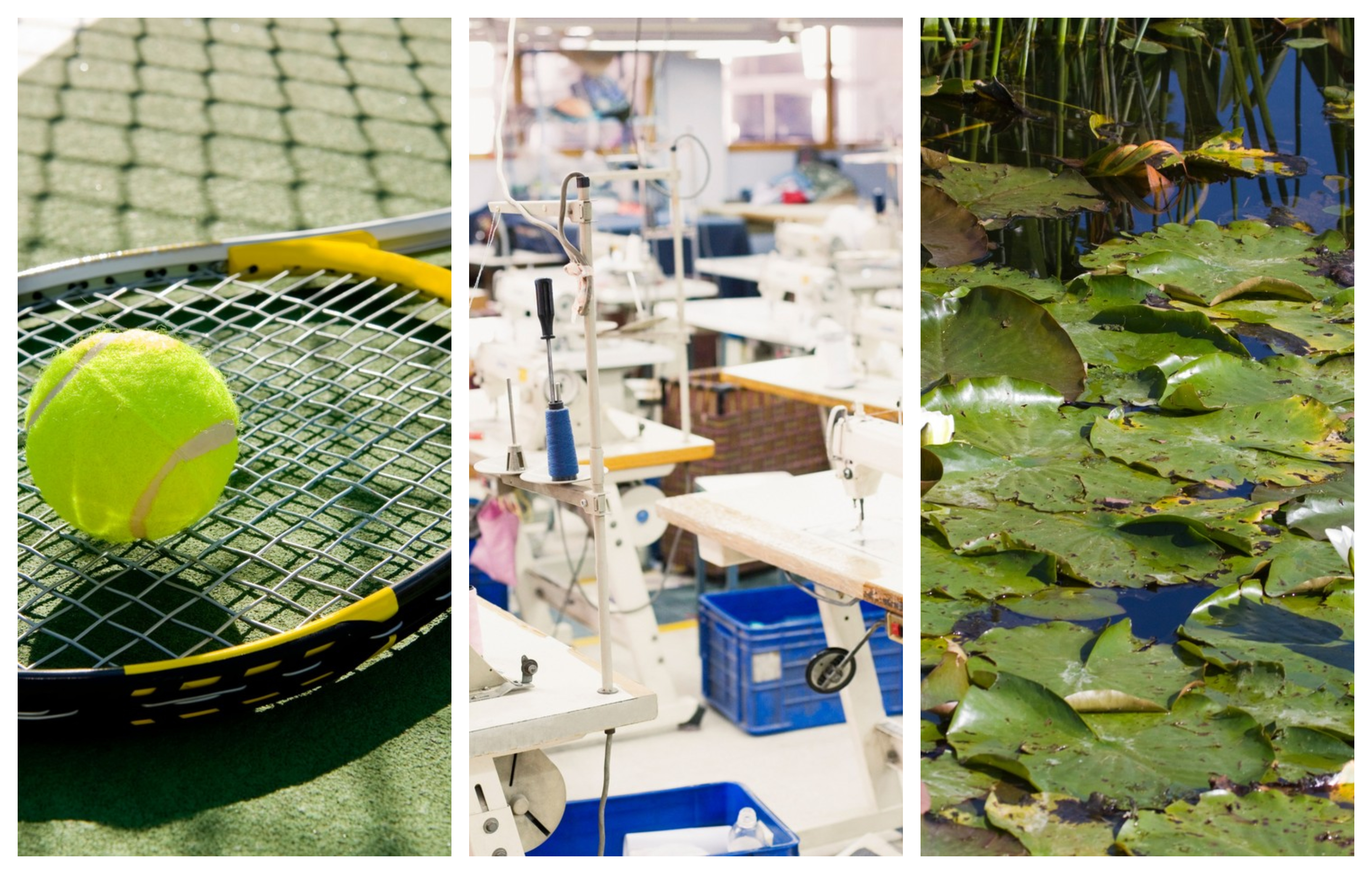 kolaž, test inteligence