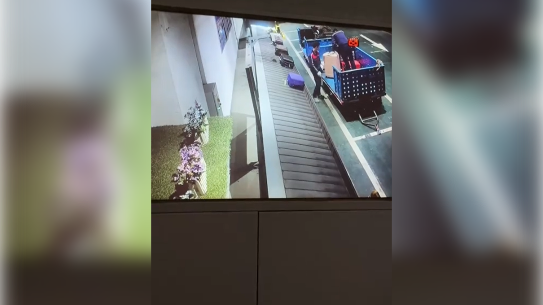 high-res-image - 2025-02-05T100358.647