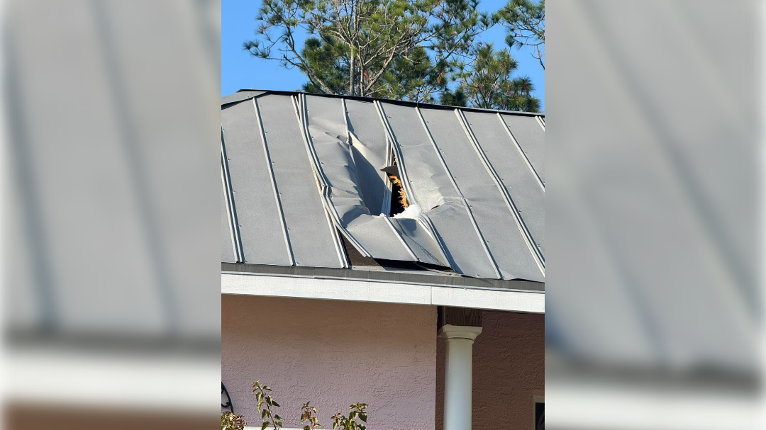 high-res-image - 2025-02-05T112150.288